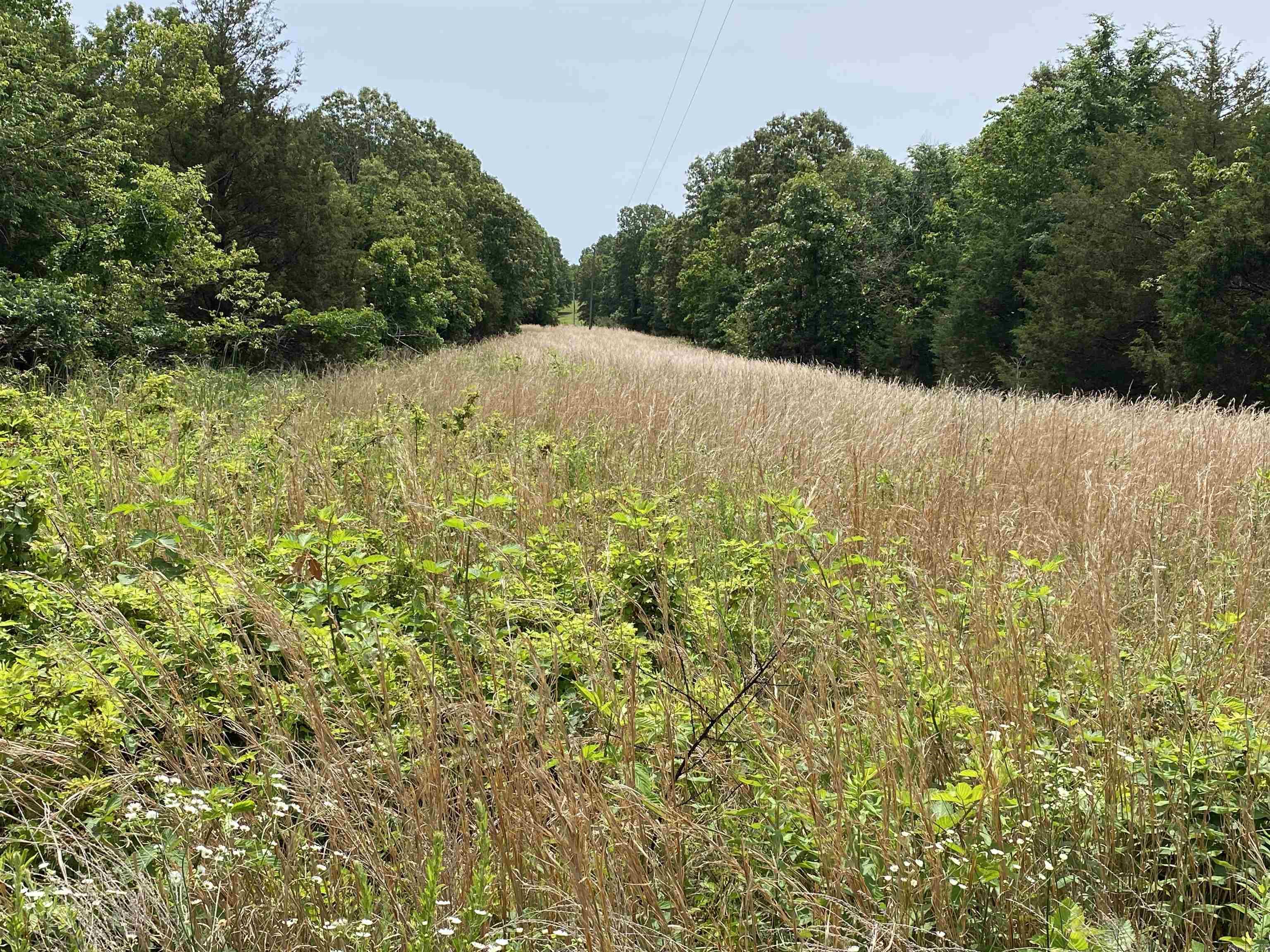 901  McFarr Trail  Ravenden, AR