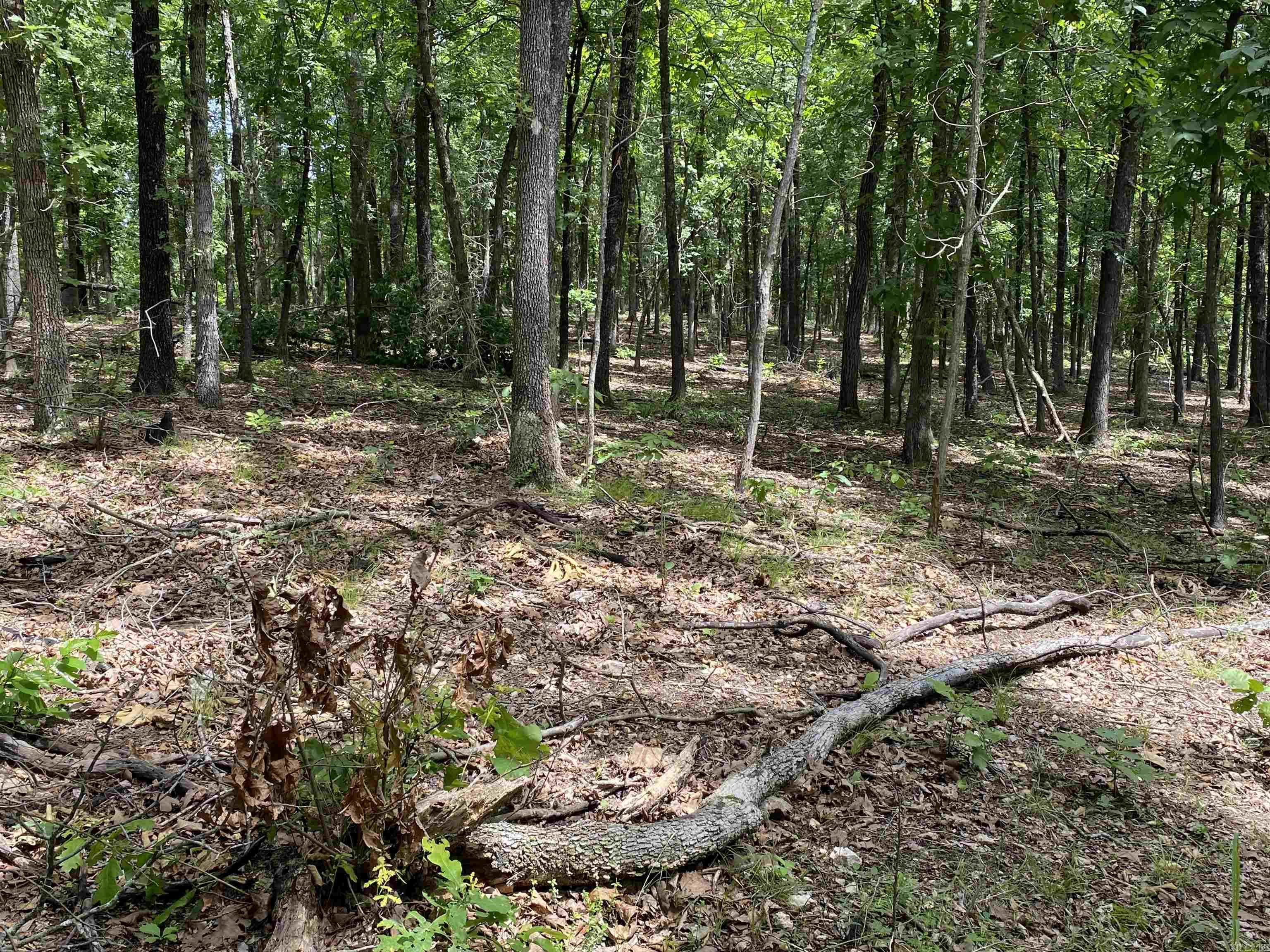 901  McFarr Trail  Ravenden, AR