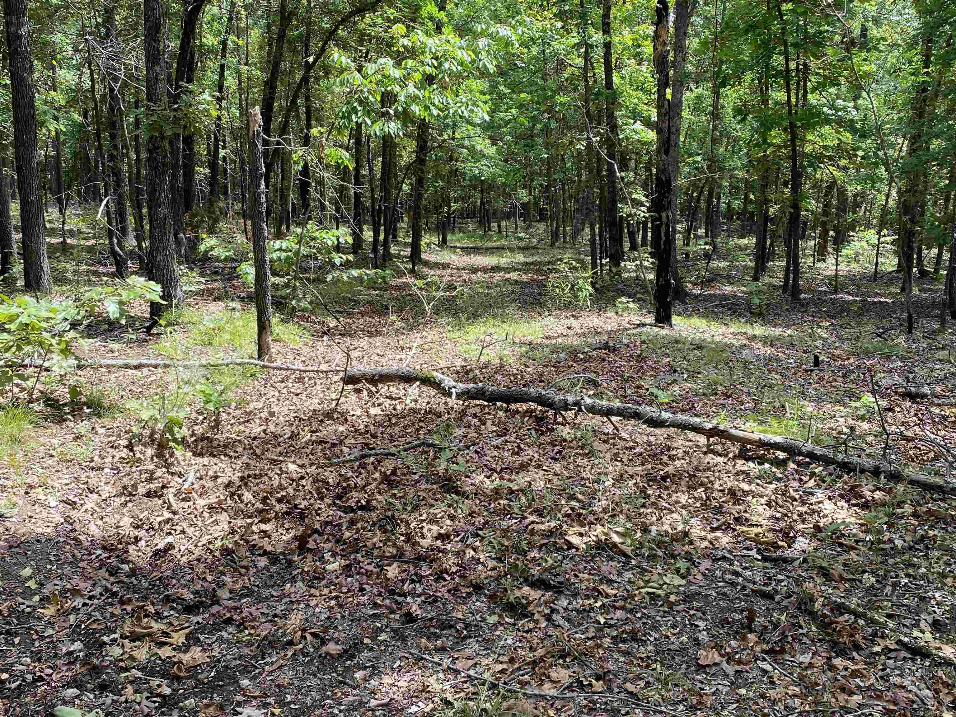 901  McFarr Trail  Ravenden, AR