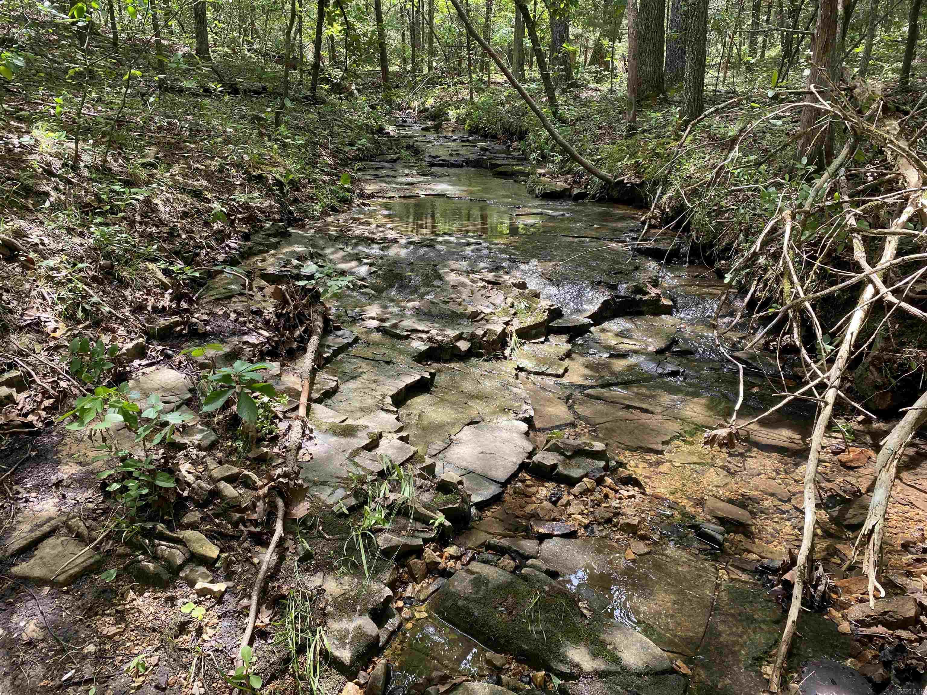 901  McFarr Trail  Ravenden, AR