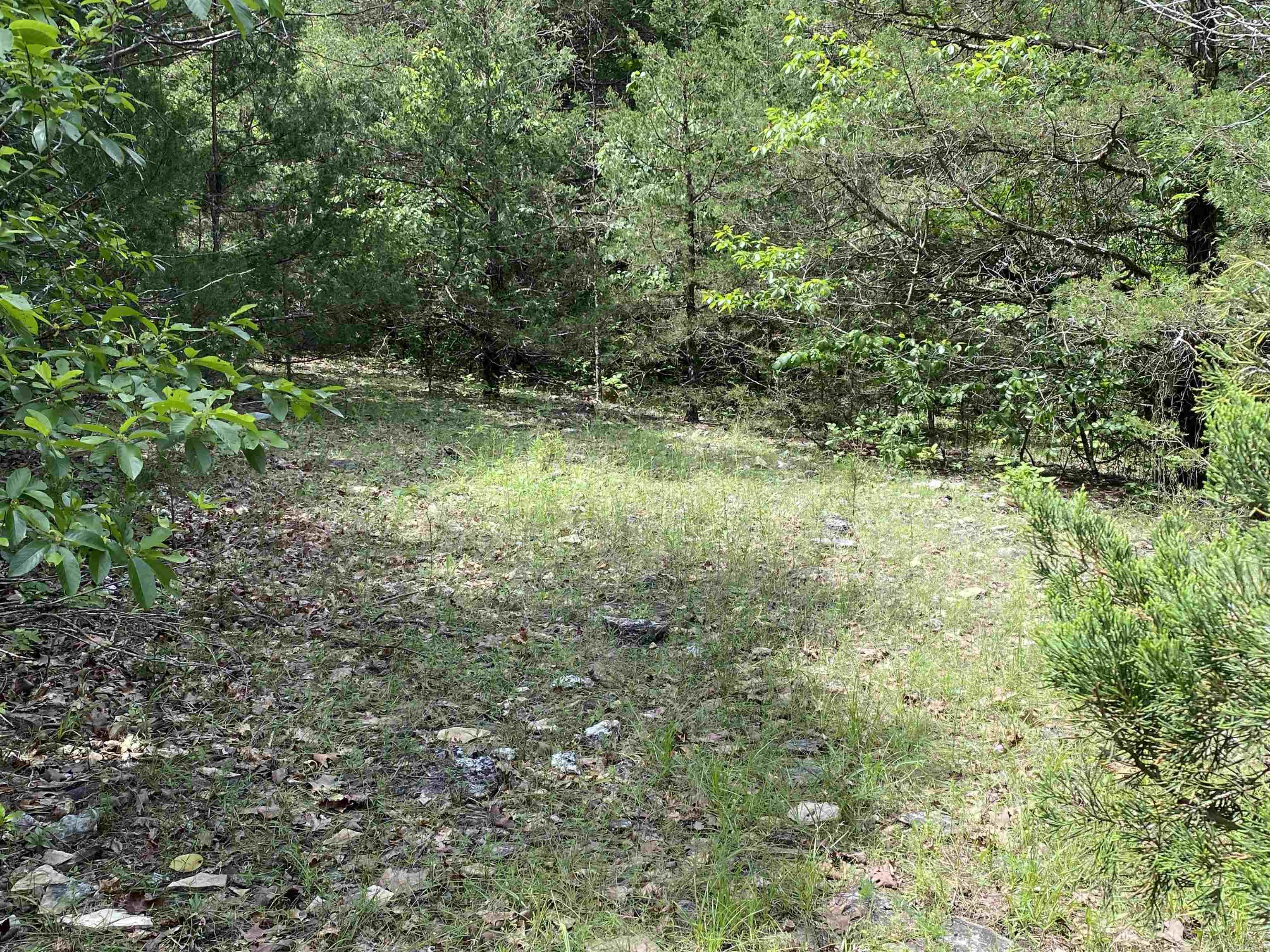 901  McFarr Trail  Ravenden, AR