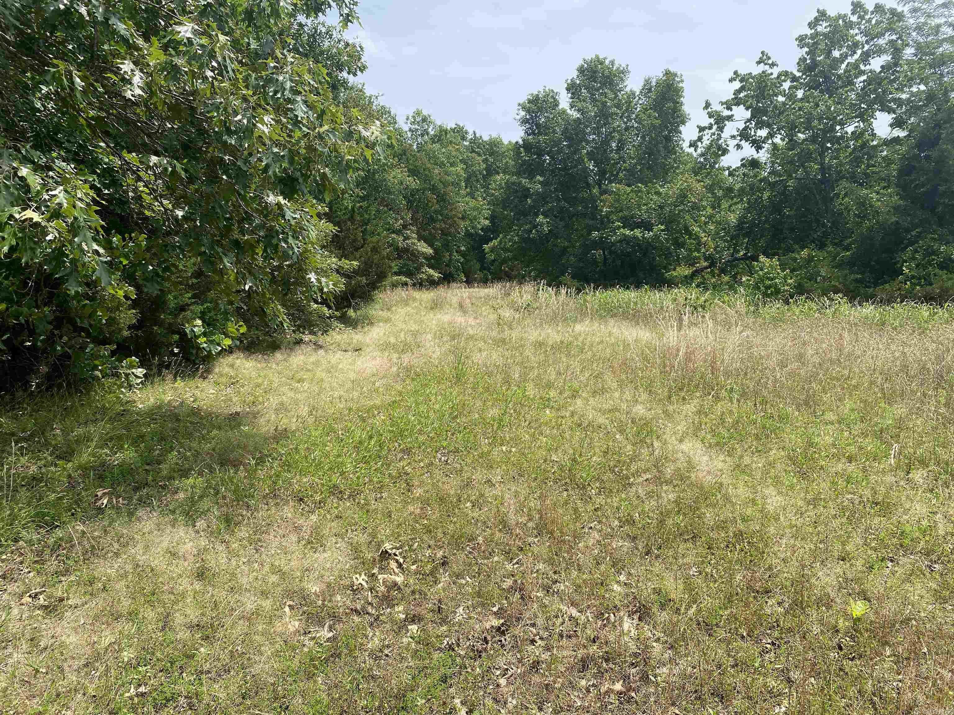 901  McFarr Trail  Ravenden, AR