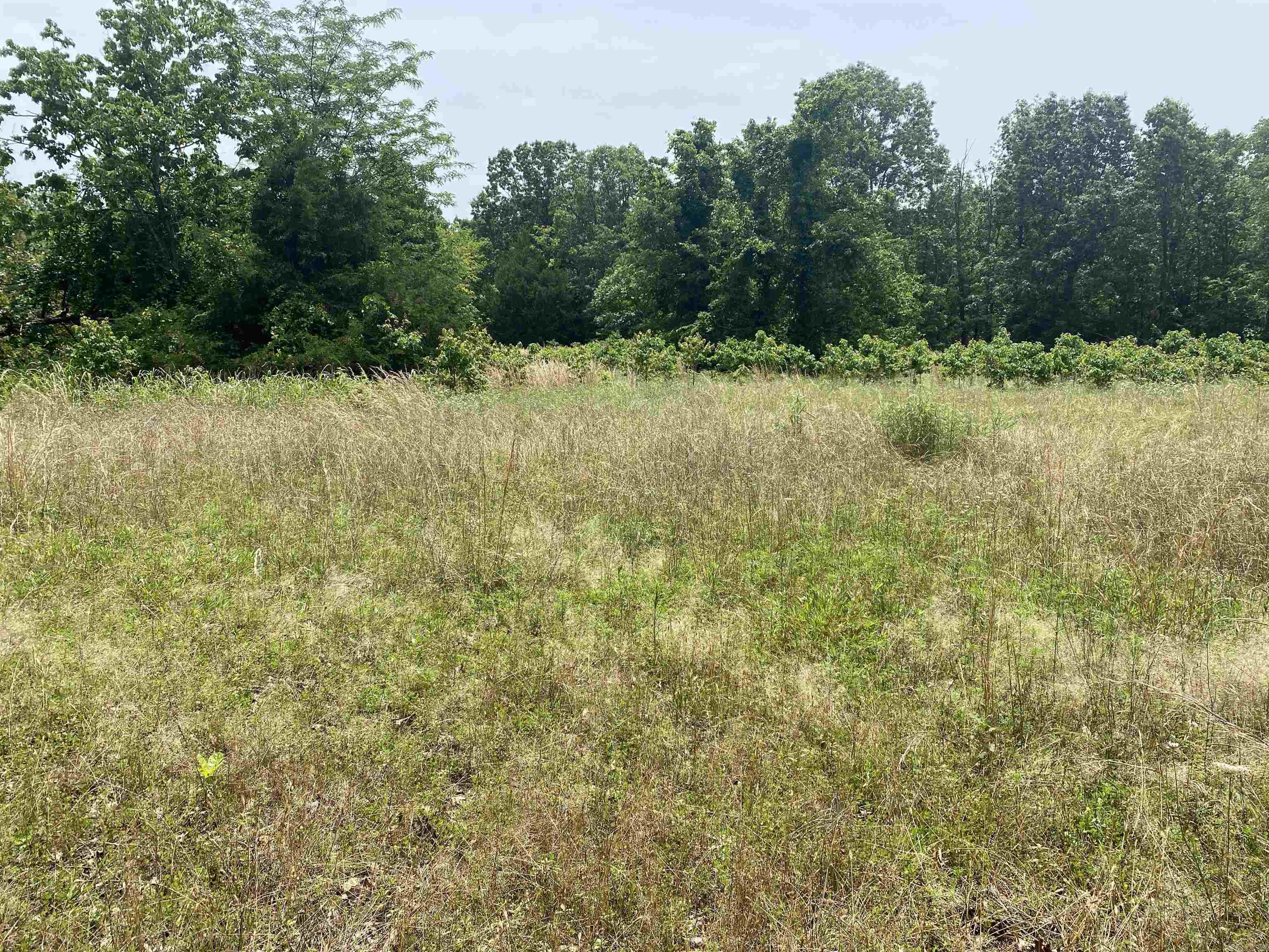 901  McFarr Trail  Ravenden, AR