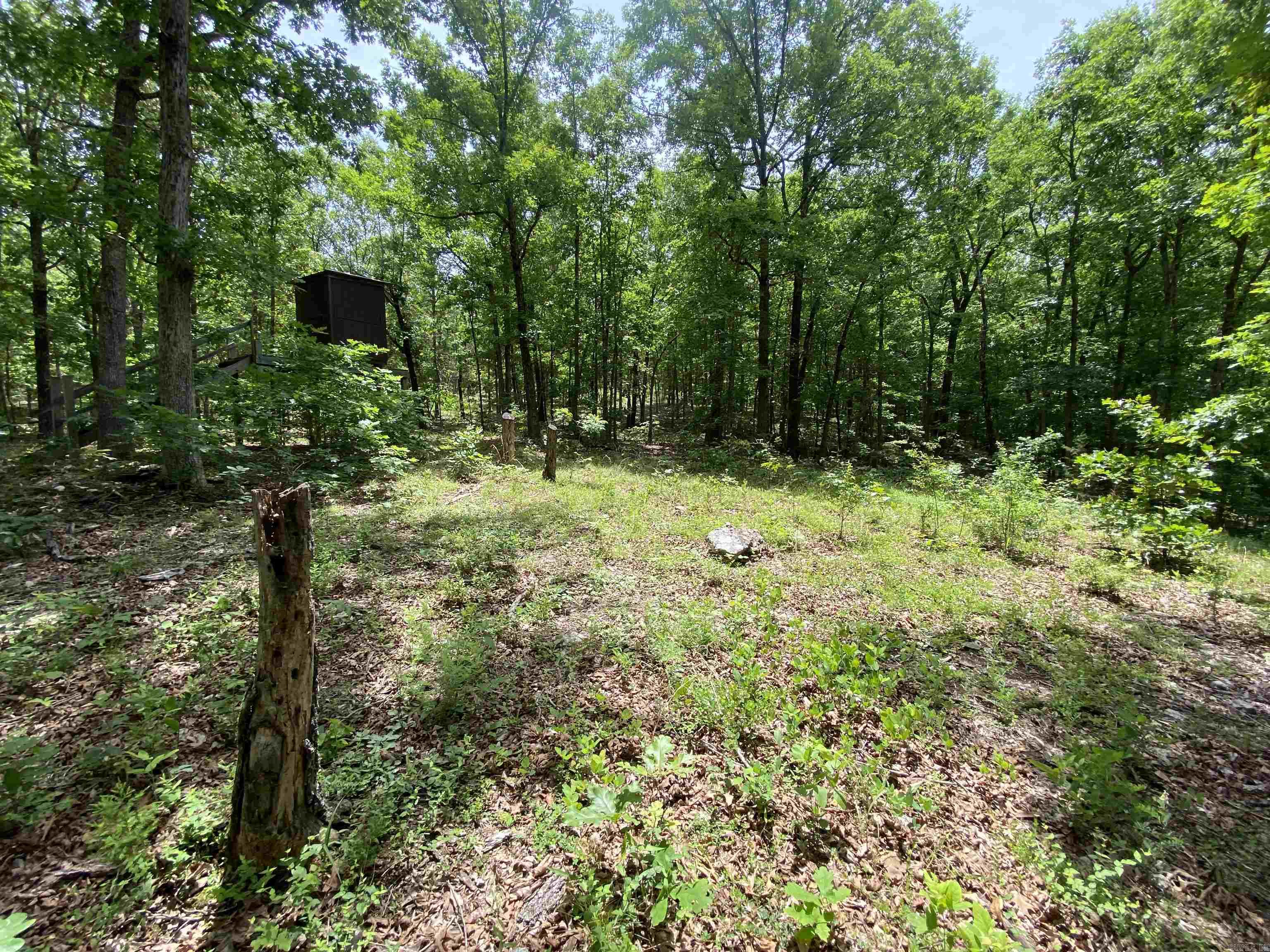 901  McFarr Trail  Ravenden, AR