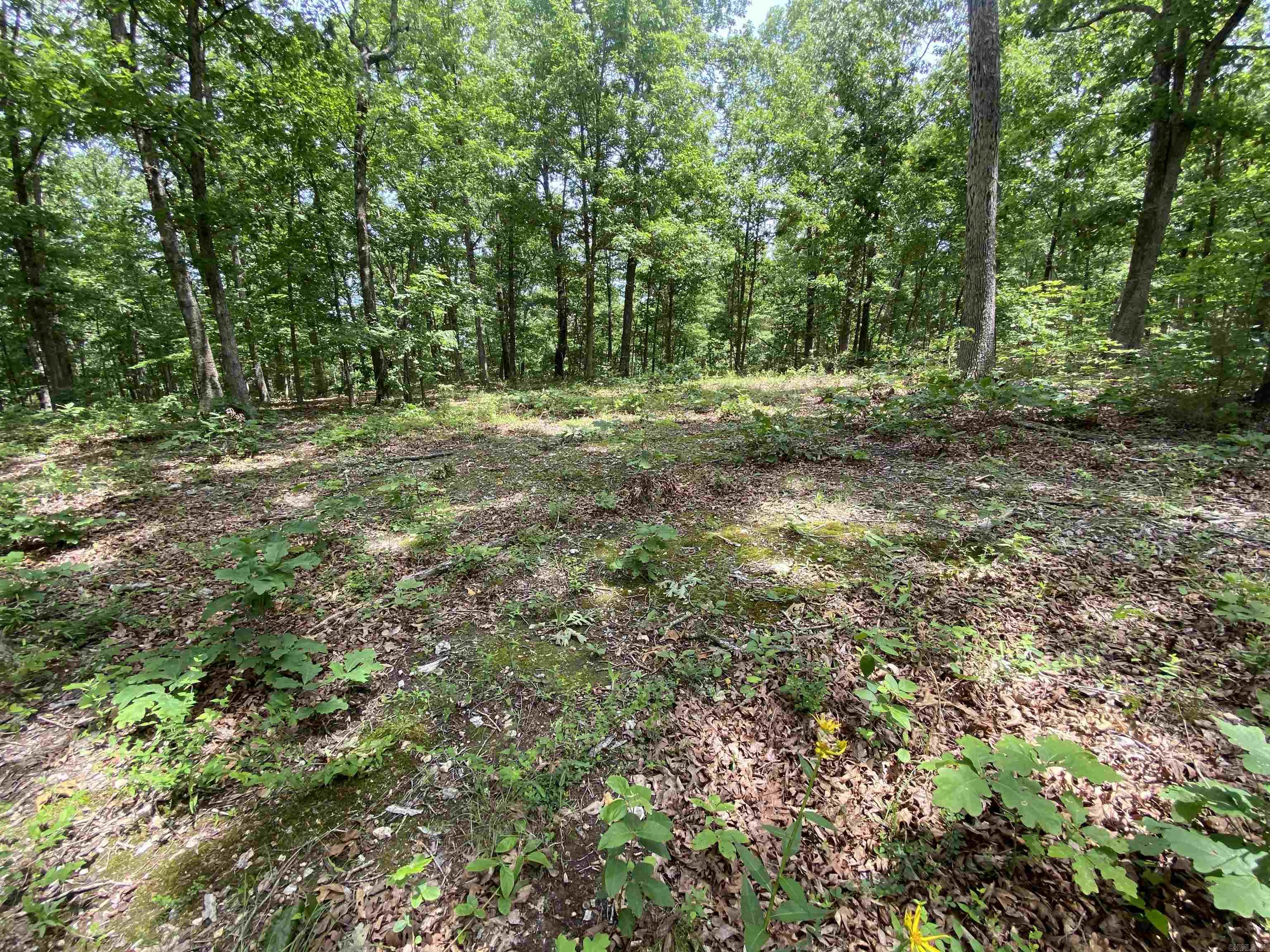 901  McFarr Trail  Ravenden, AR