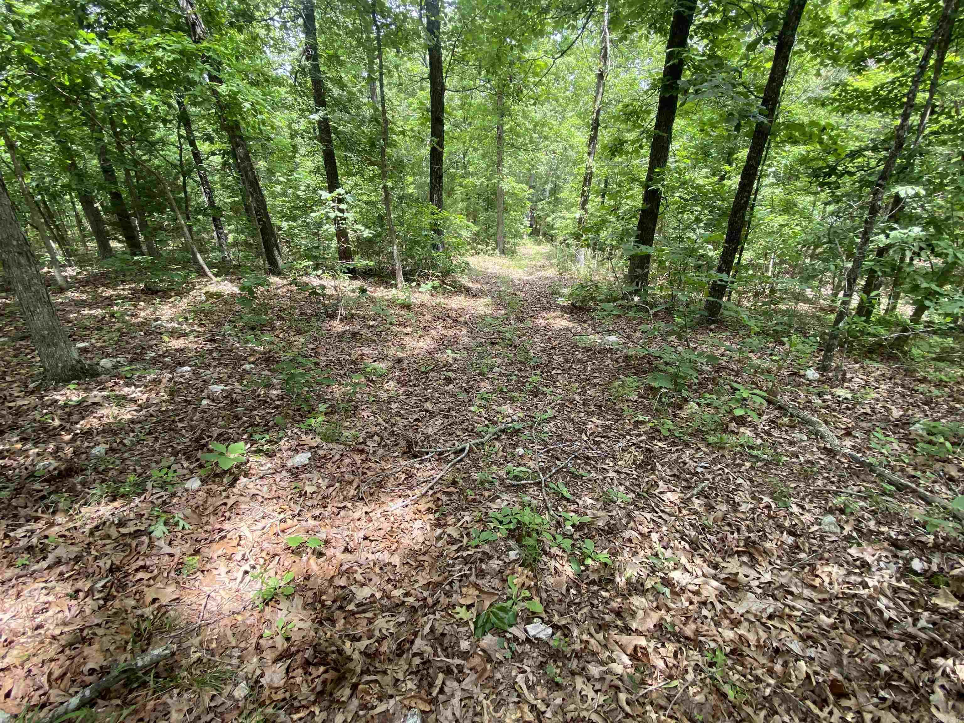 901  McFarr Trail  Ravenden, AR