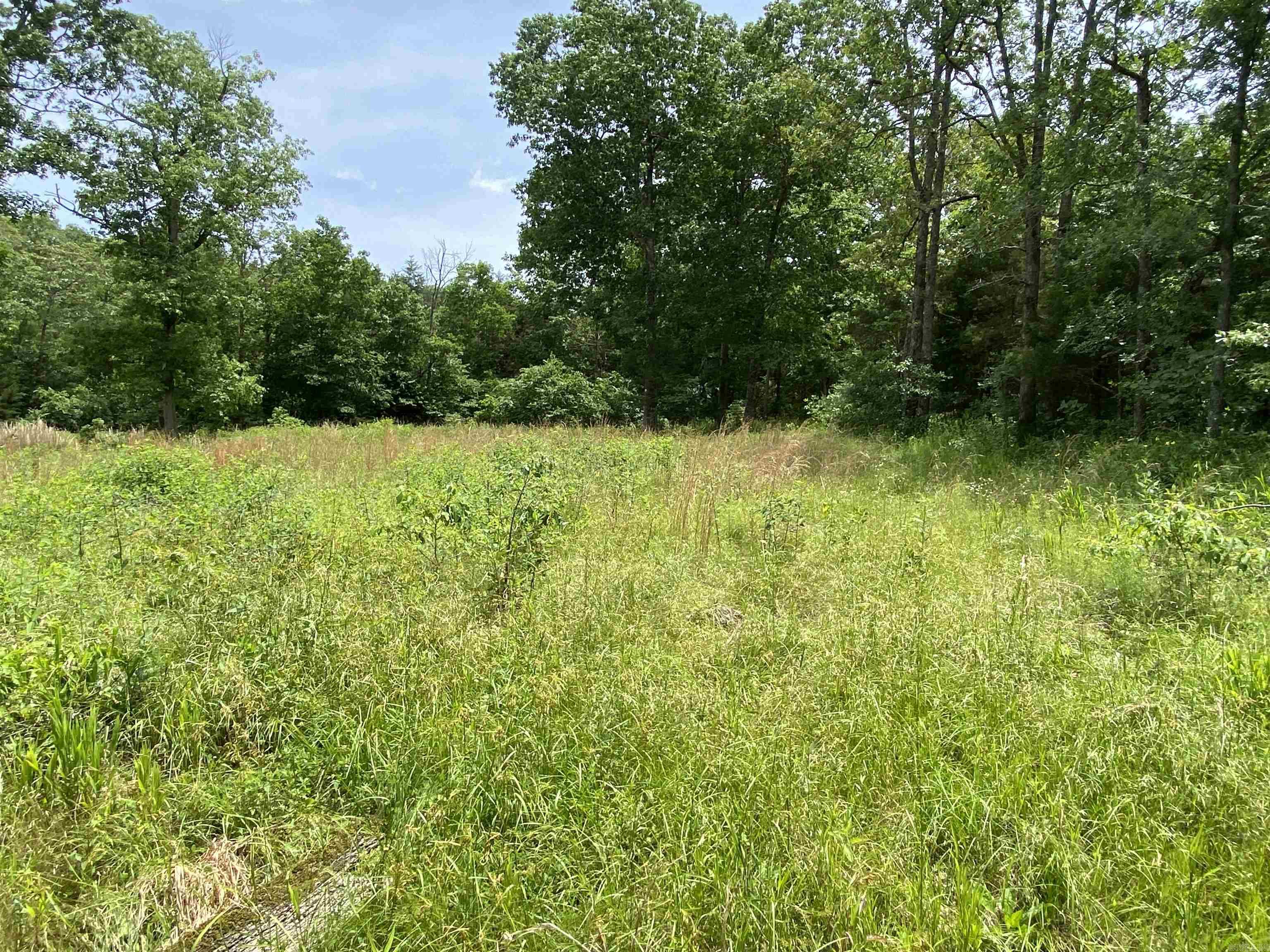 901  McFarr Trail  Ravenden, AR