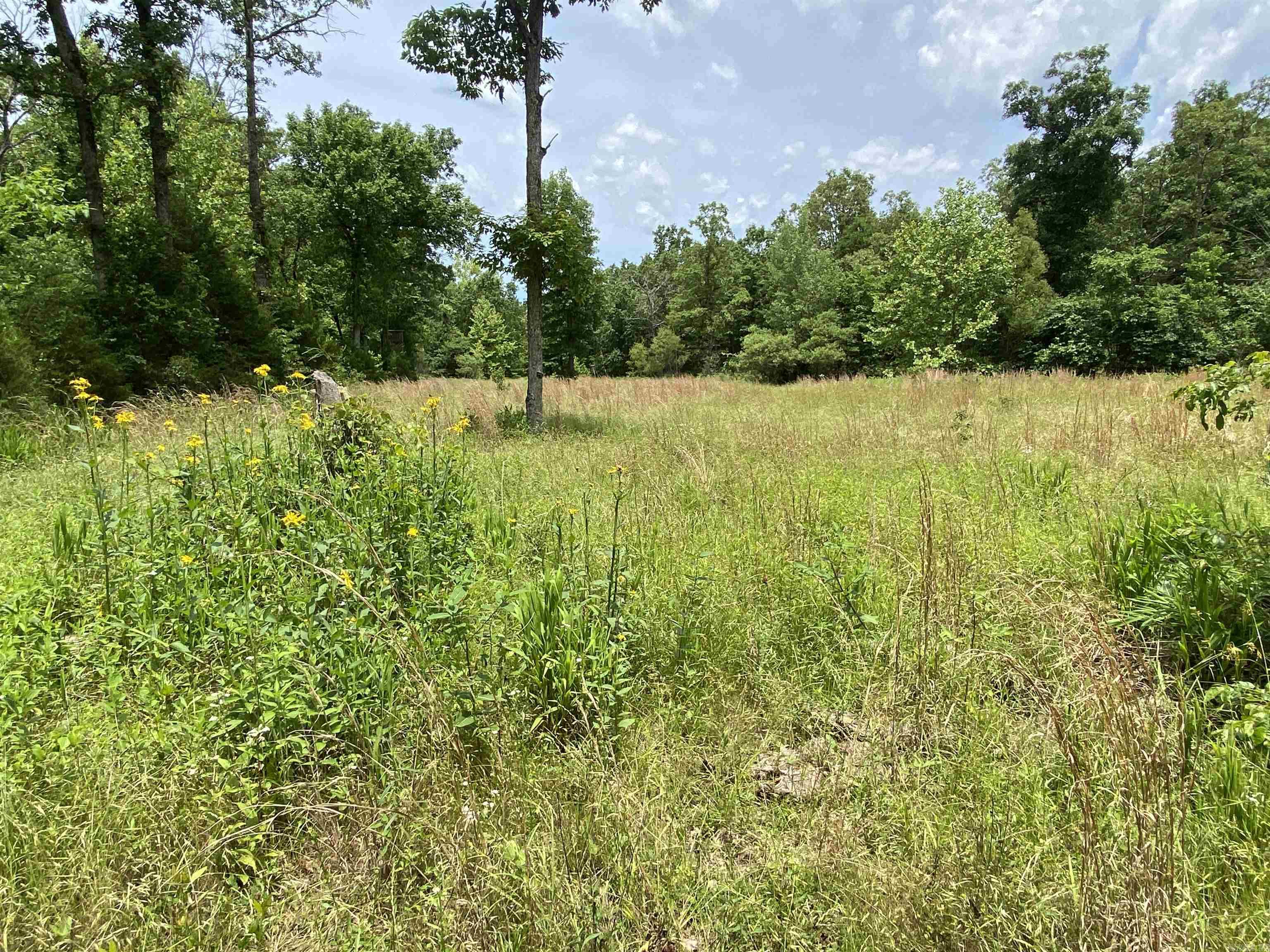 901  McFarr Trail  Ravenden, AR
