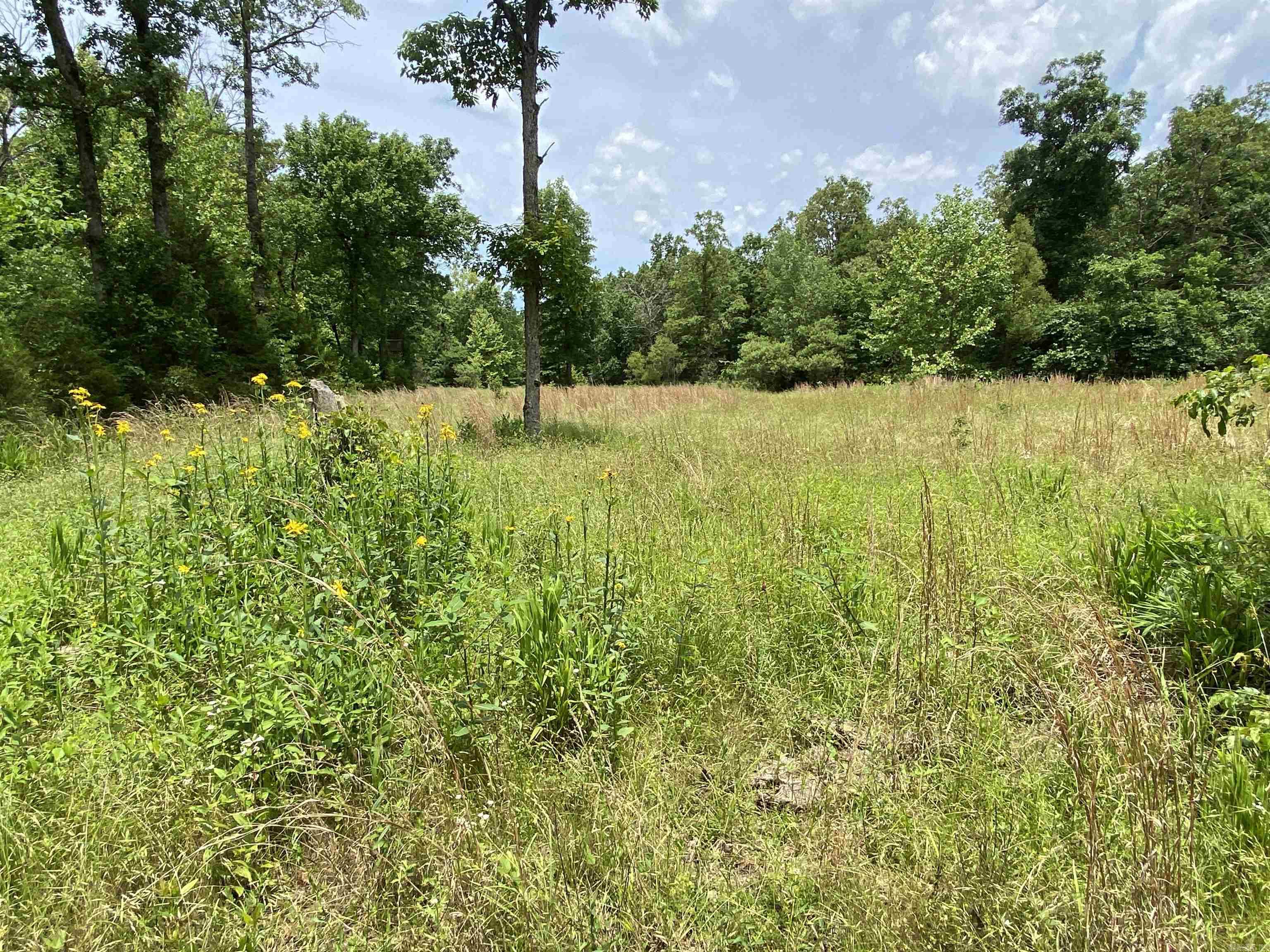 901  McFarr Trail  Ravenden, AR