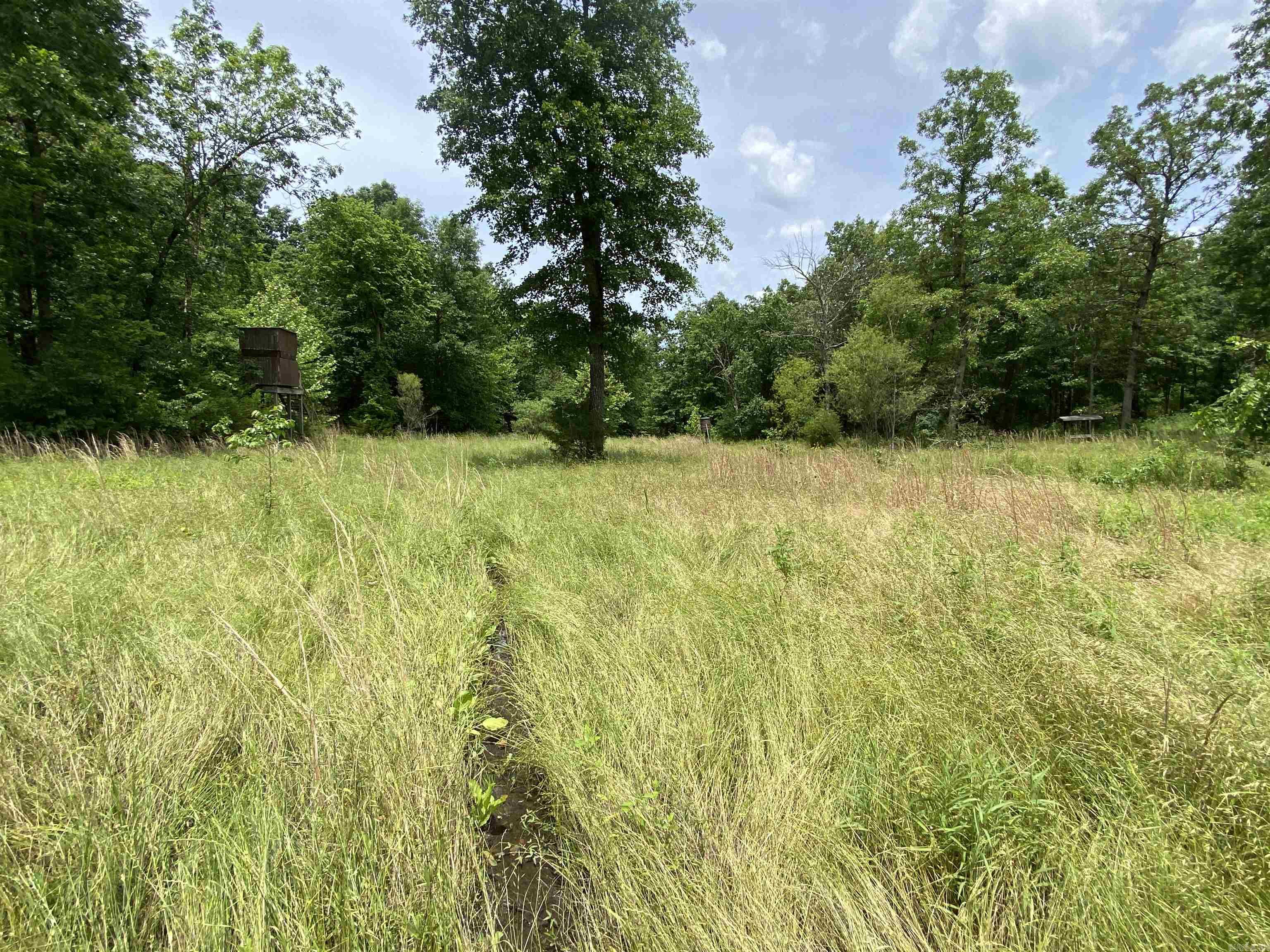 901  McFarr Trail  Ravenden, AR