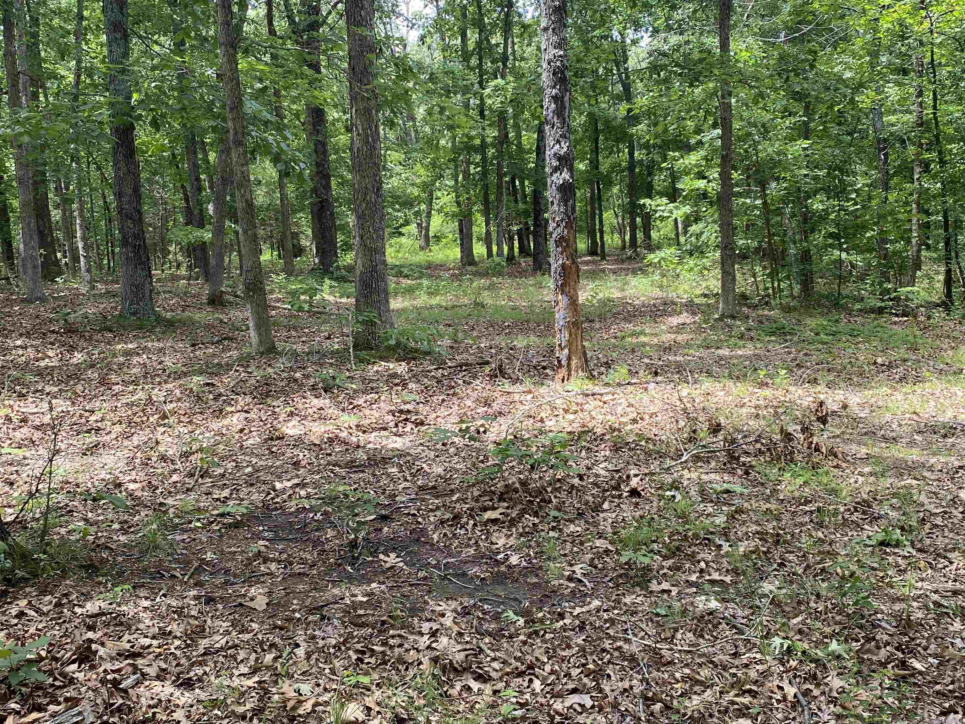 901  McFarr Trail  Ravenden, AR