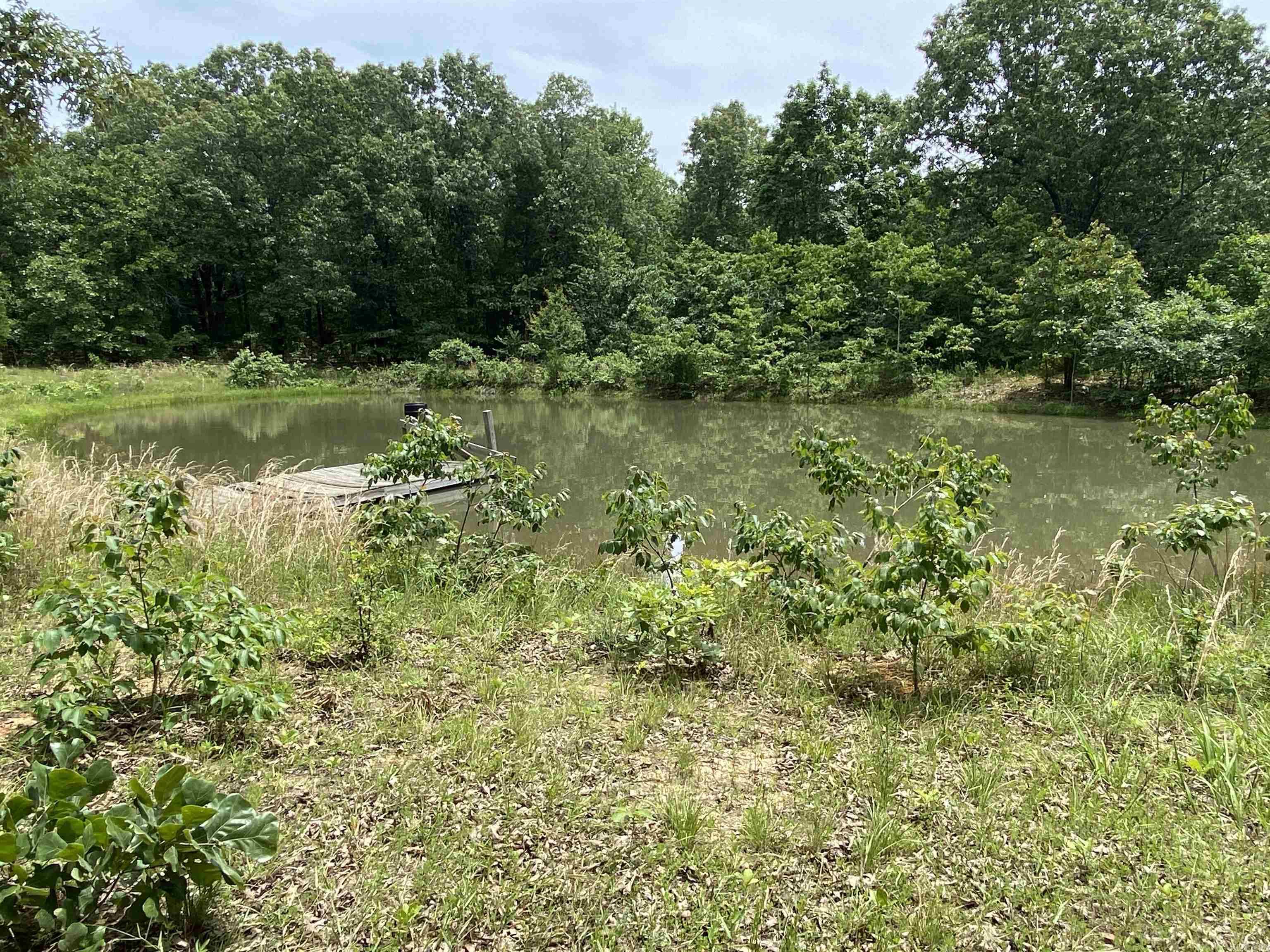 901  McFarr Trail  Ravenden, AR