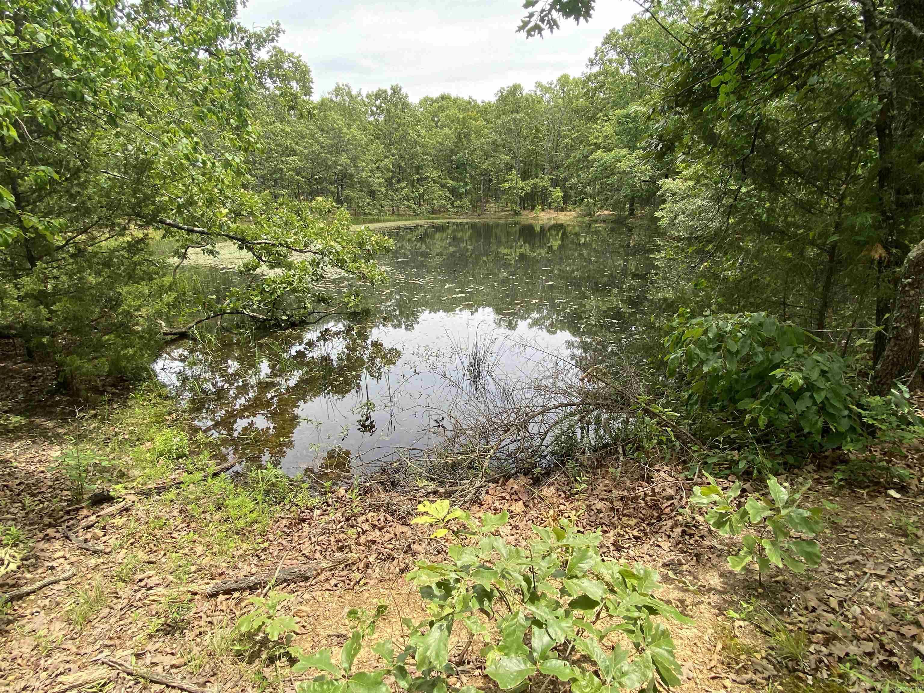 901  McFarr Trail  Ravenden, AR
