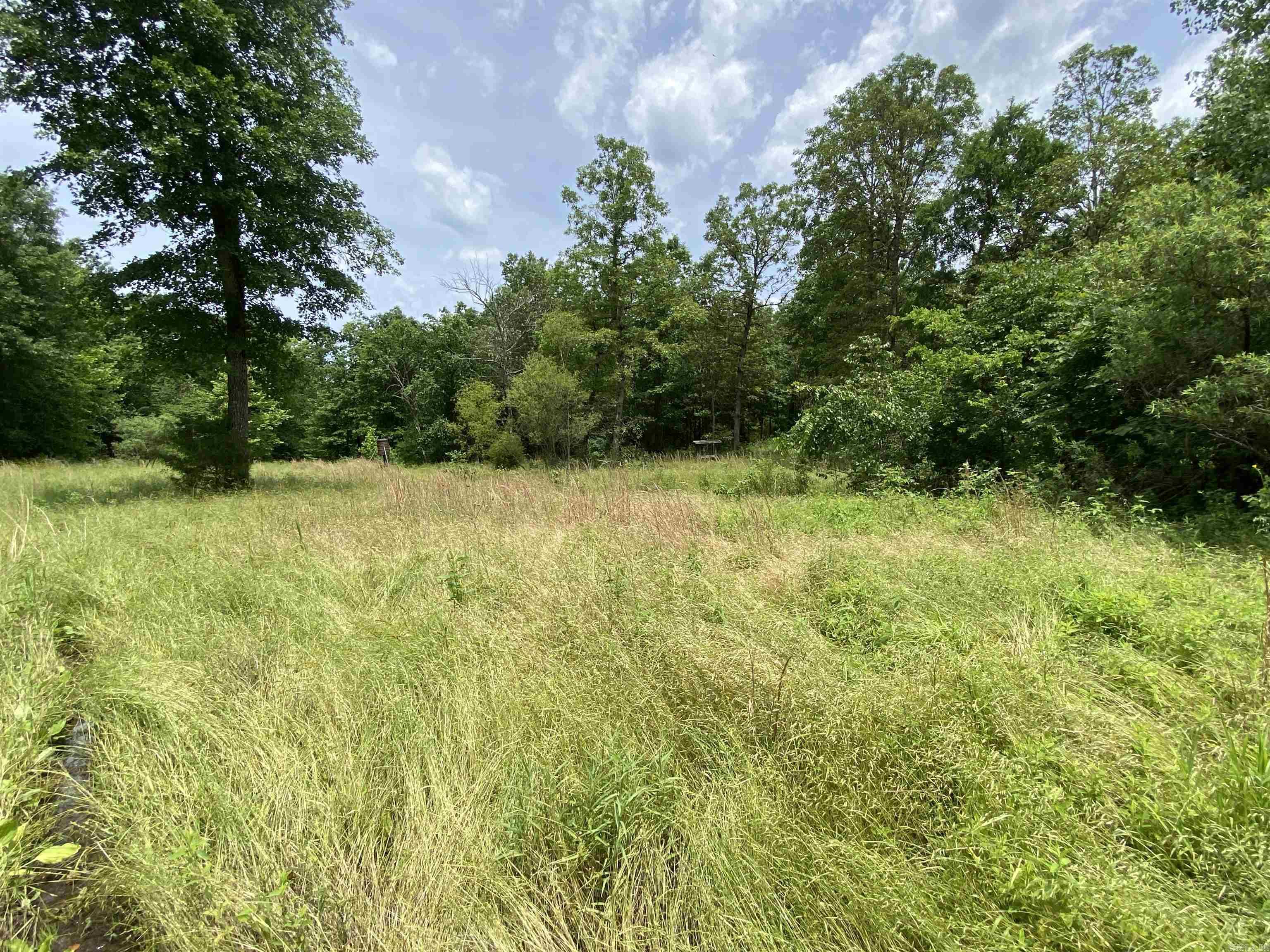 901  McFarr Trail  Ravenden, AR