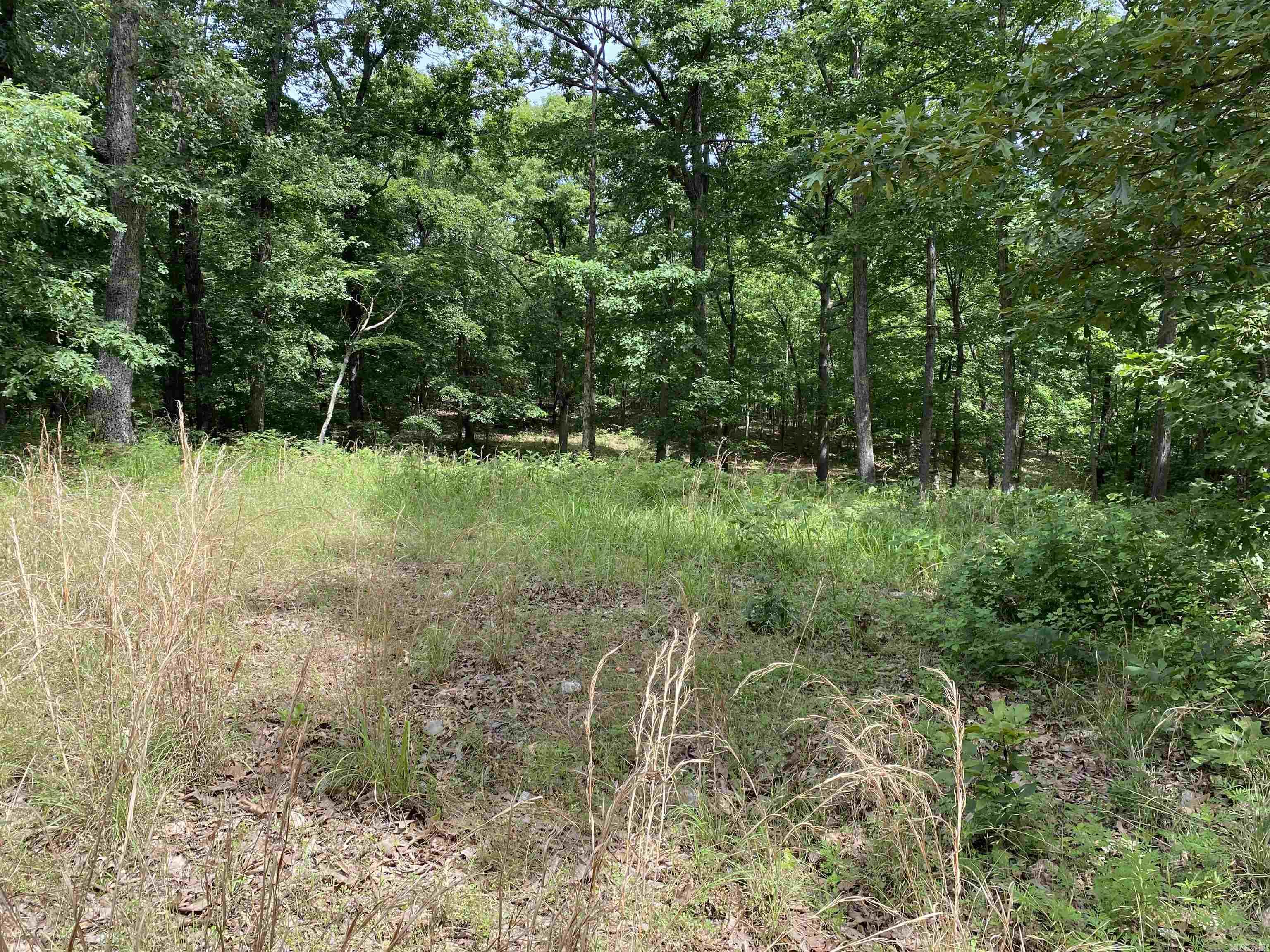 901  McFarr Trail  Ravenden, AR