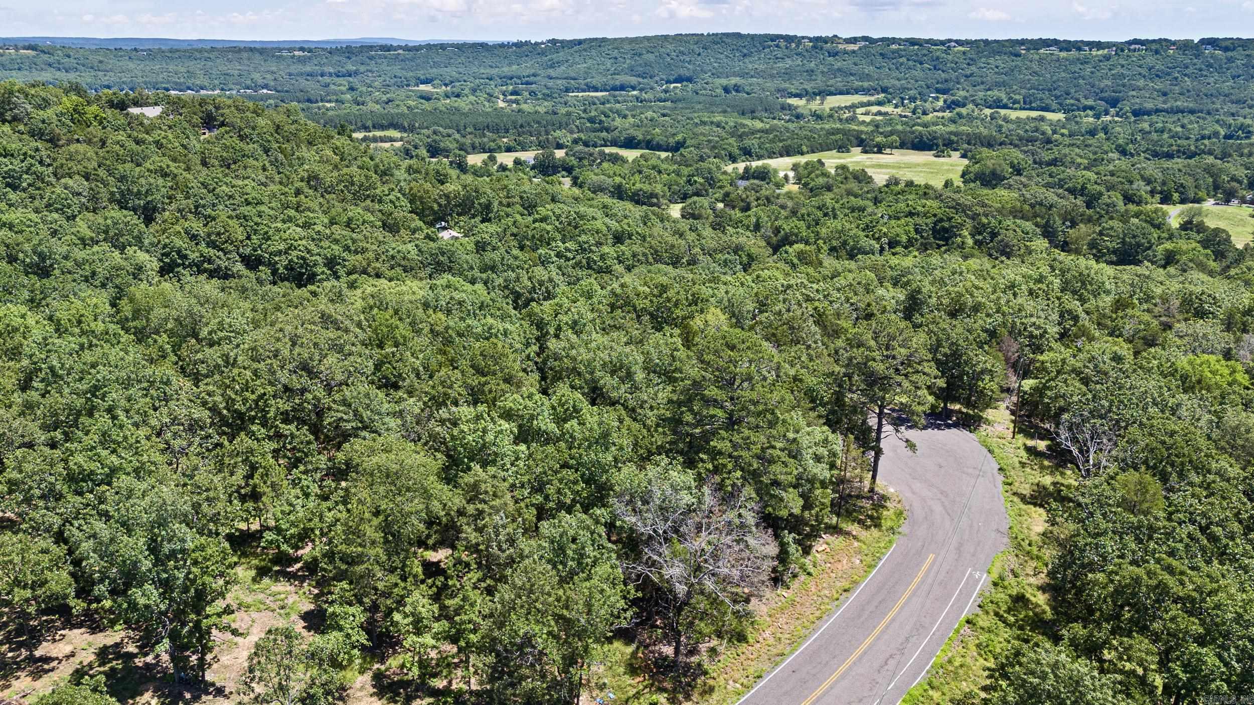 553  Apple Lot #14 Russellville, AR