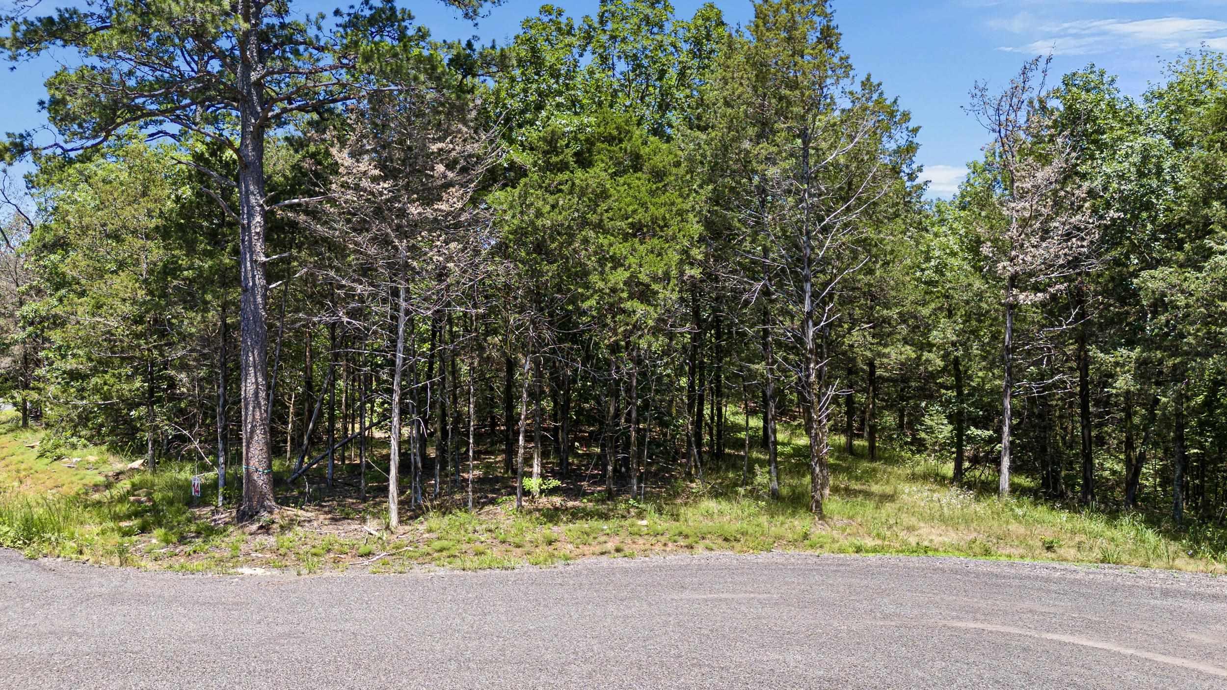 553  Apple Lot #14 Russellville, AR