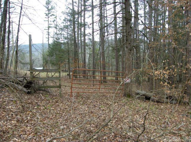 0  CR 6151  Pettigrew, AR
