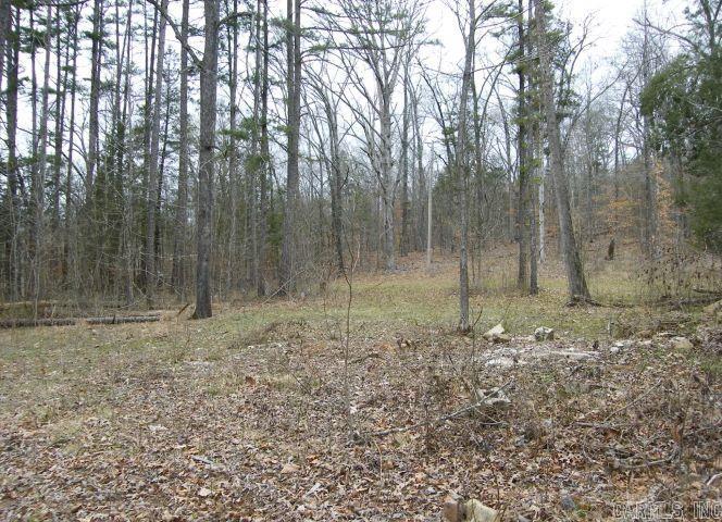 0  CR 6151  Pettigrew, AR