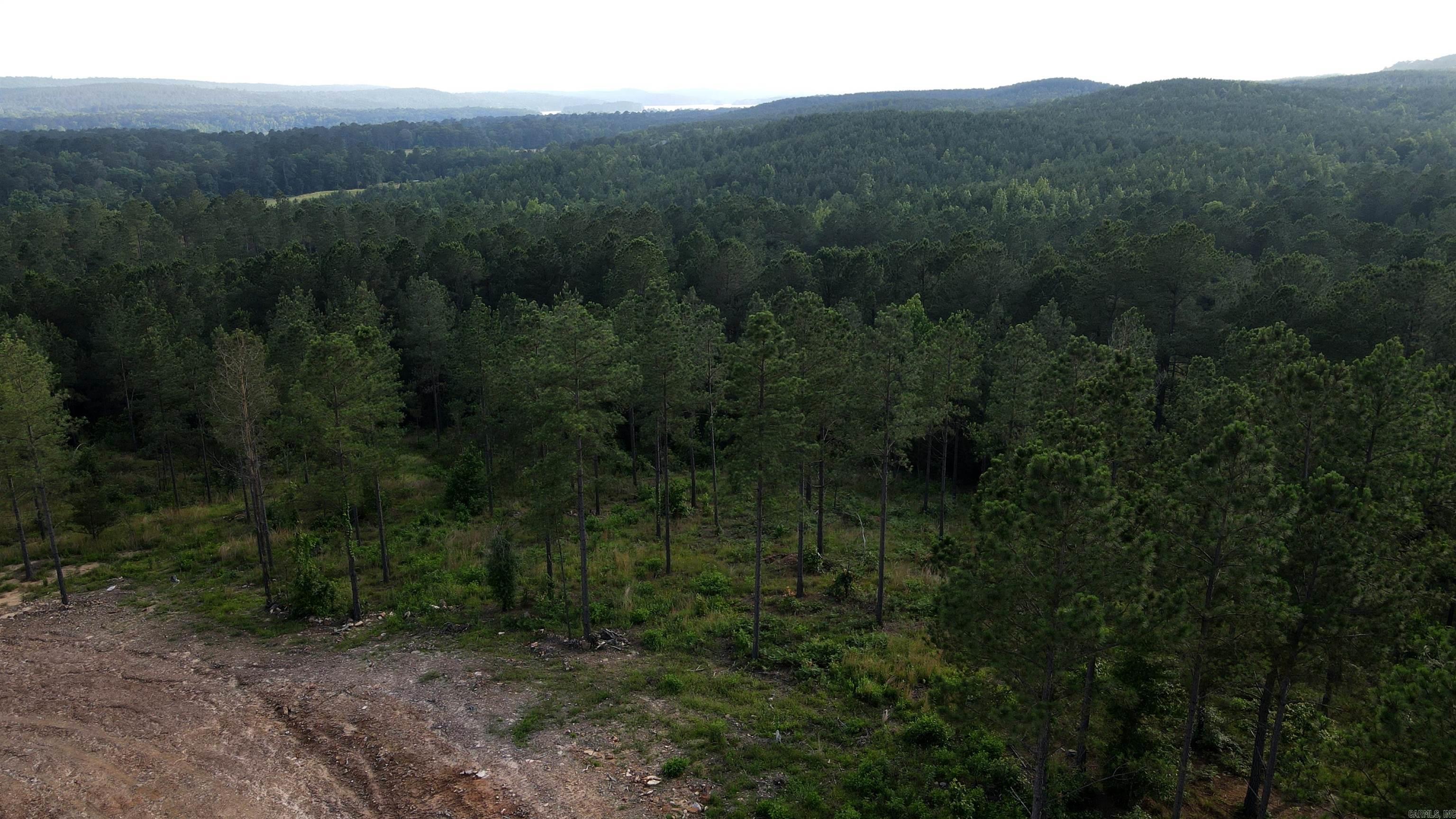 TBD  The Plantation Lot 44 Kirby, AR
