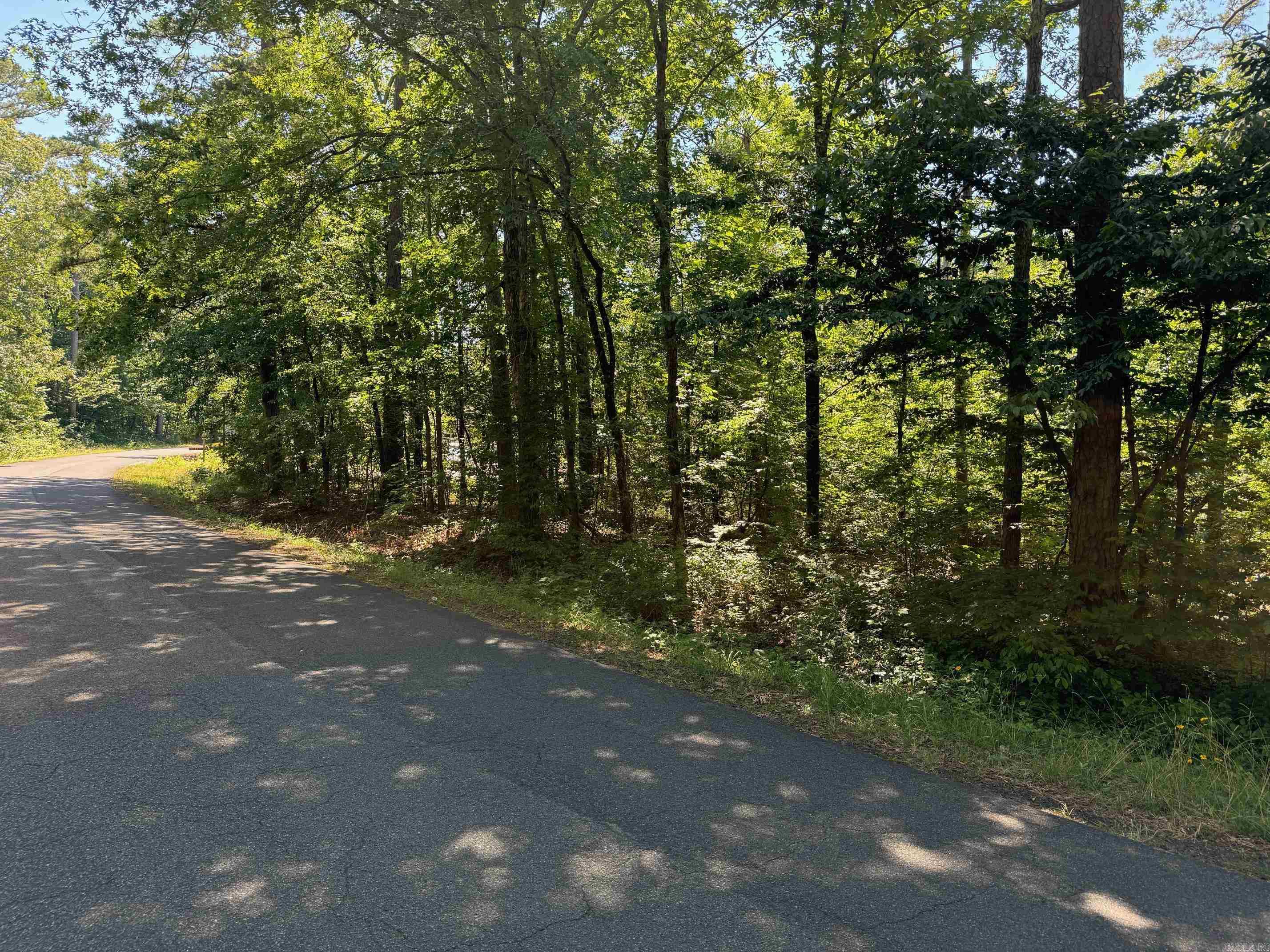 2  ORILLA LANE  Hot Springs Village, AR
