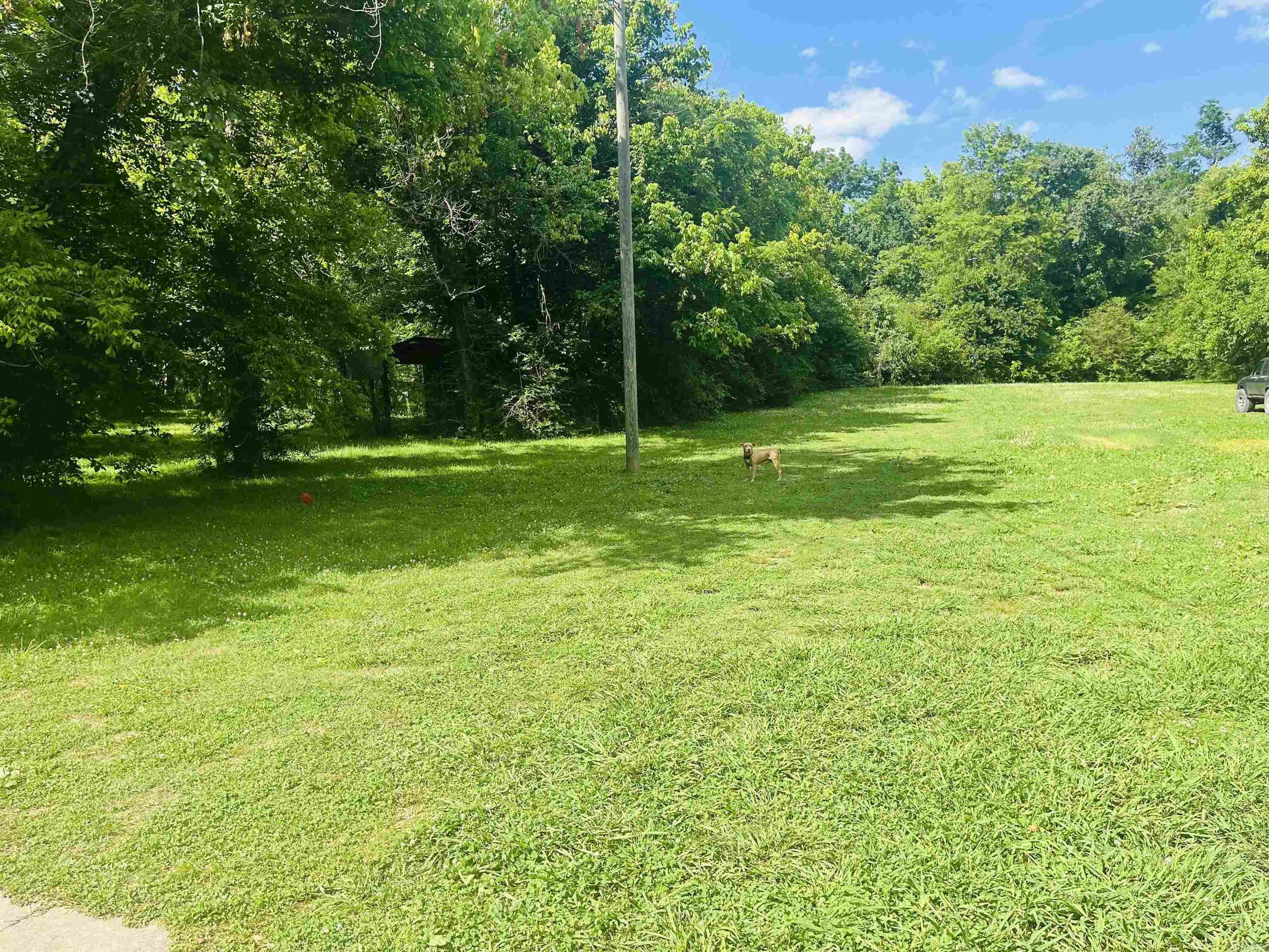 103  Limestone Street  Leslie, AR