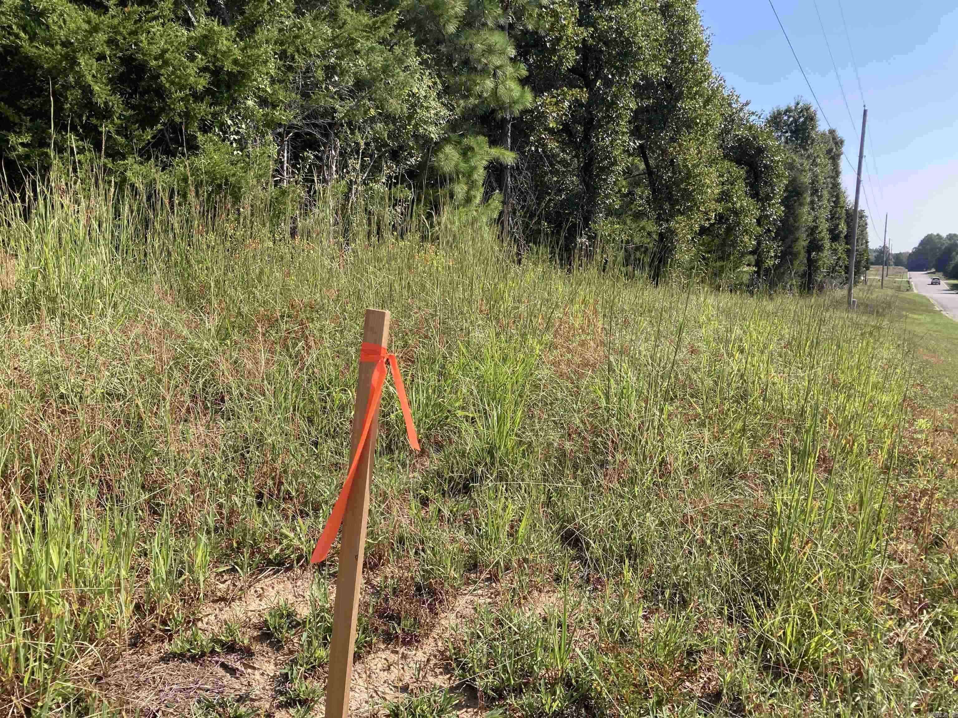 36  Lieblong  Greenbrier, AR