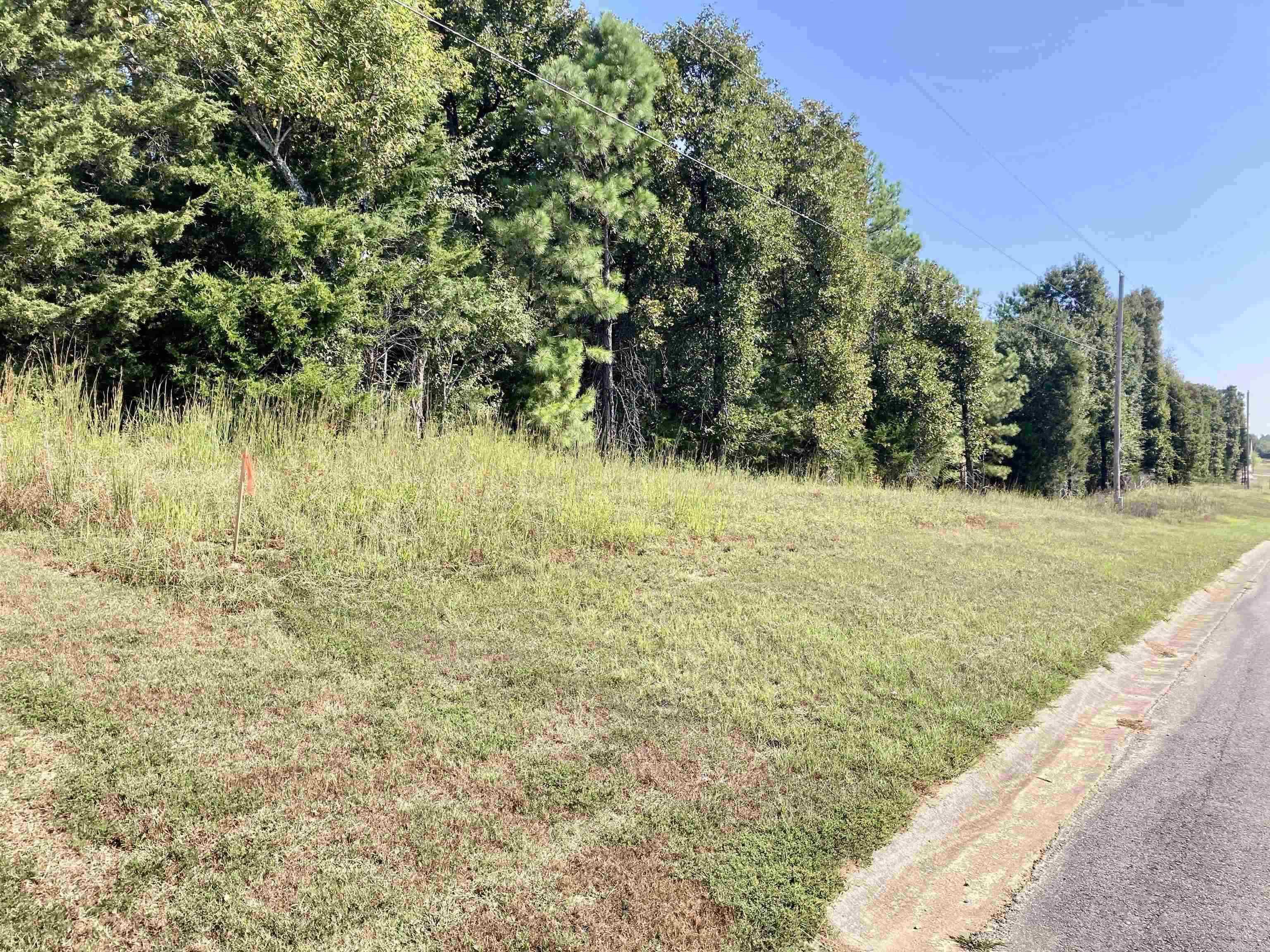 36  Lieblong  Greenbrier, AR
