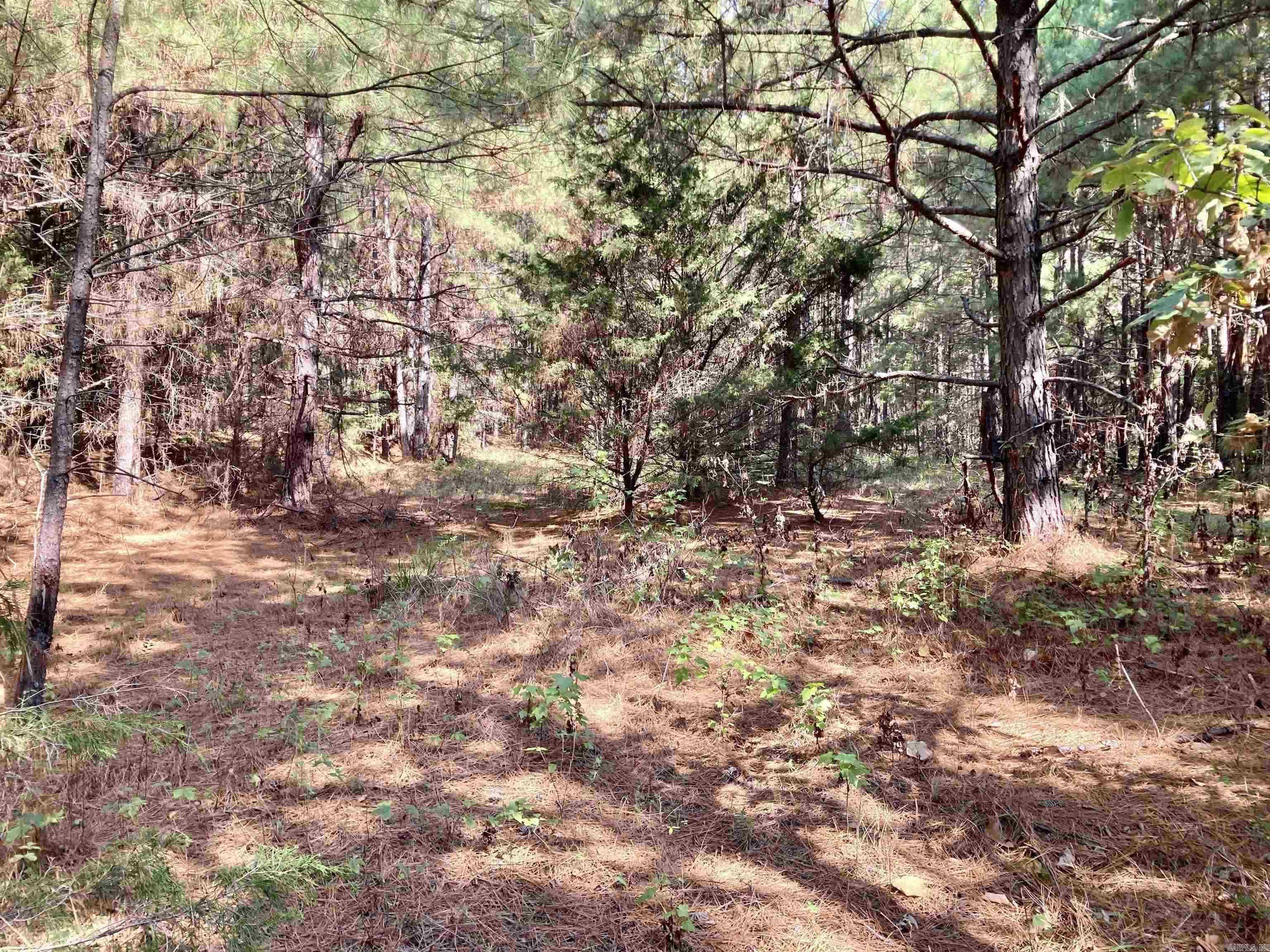36  Lieblong  Greenbrier, AR