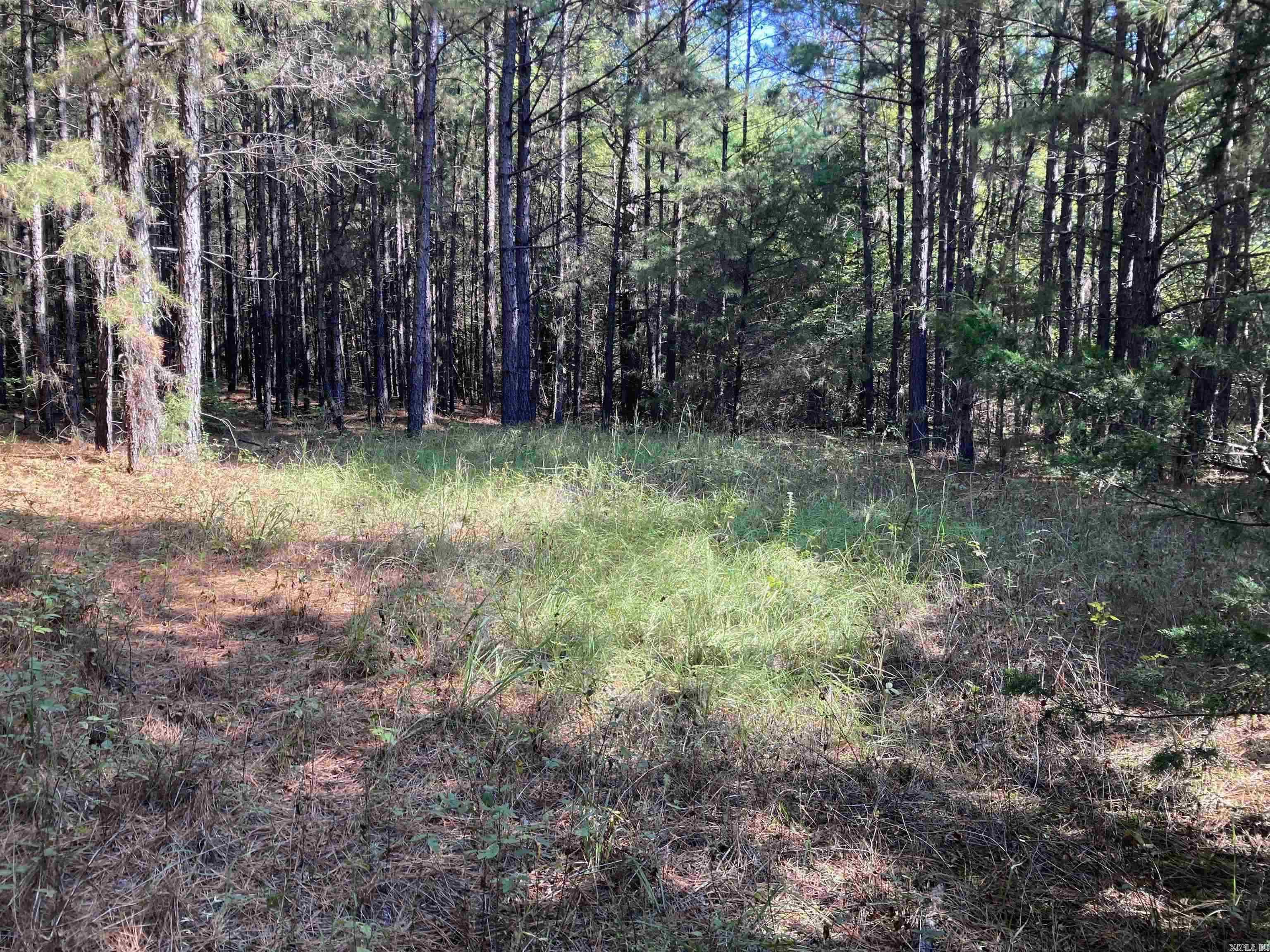 36  Lieblong  Greenbrier, AR