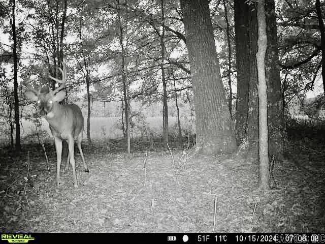000  Oakdale  Lonoke, AR