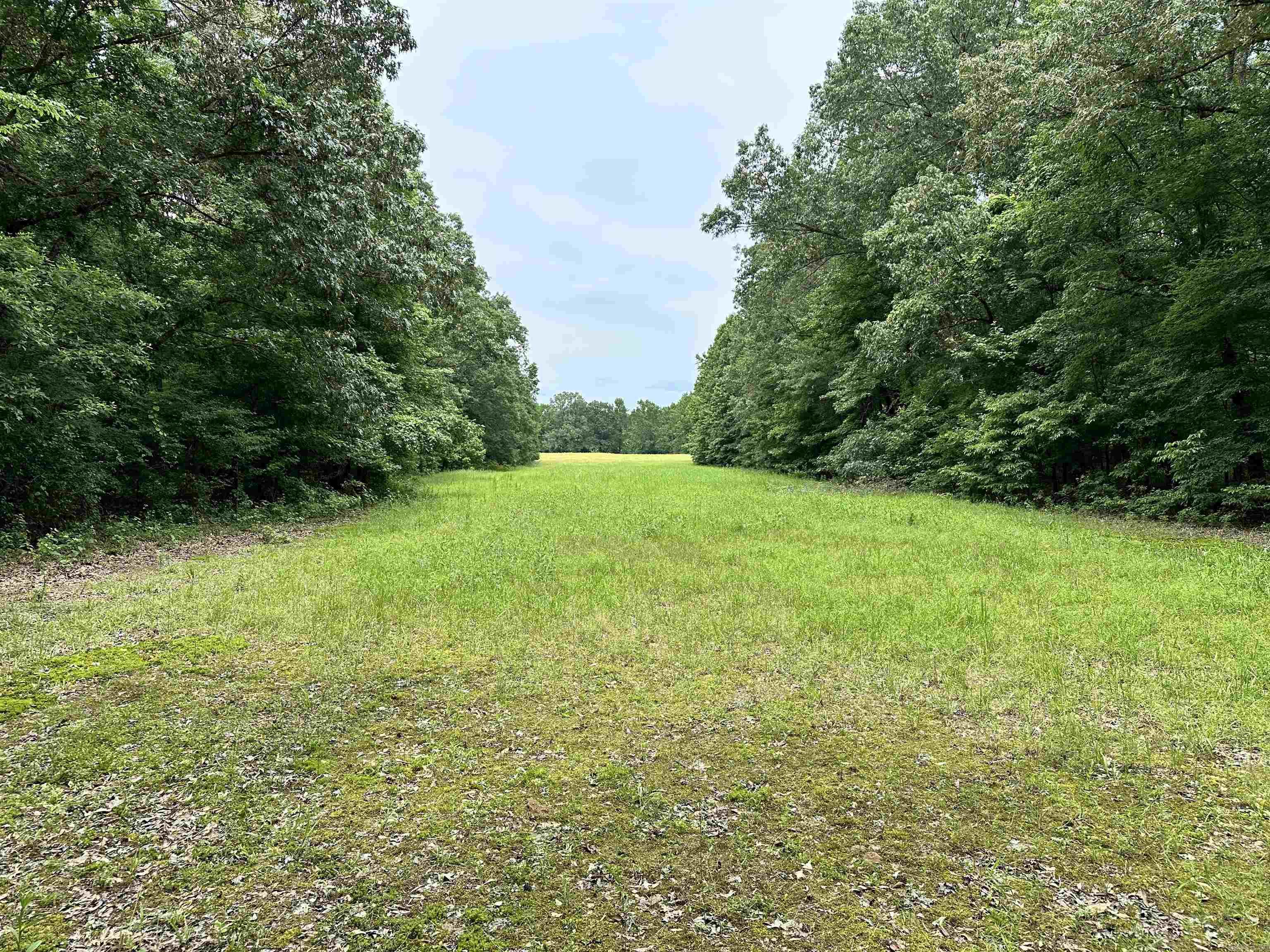 000  Oakdale  Lonoke, AR