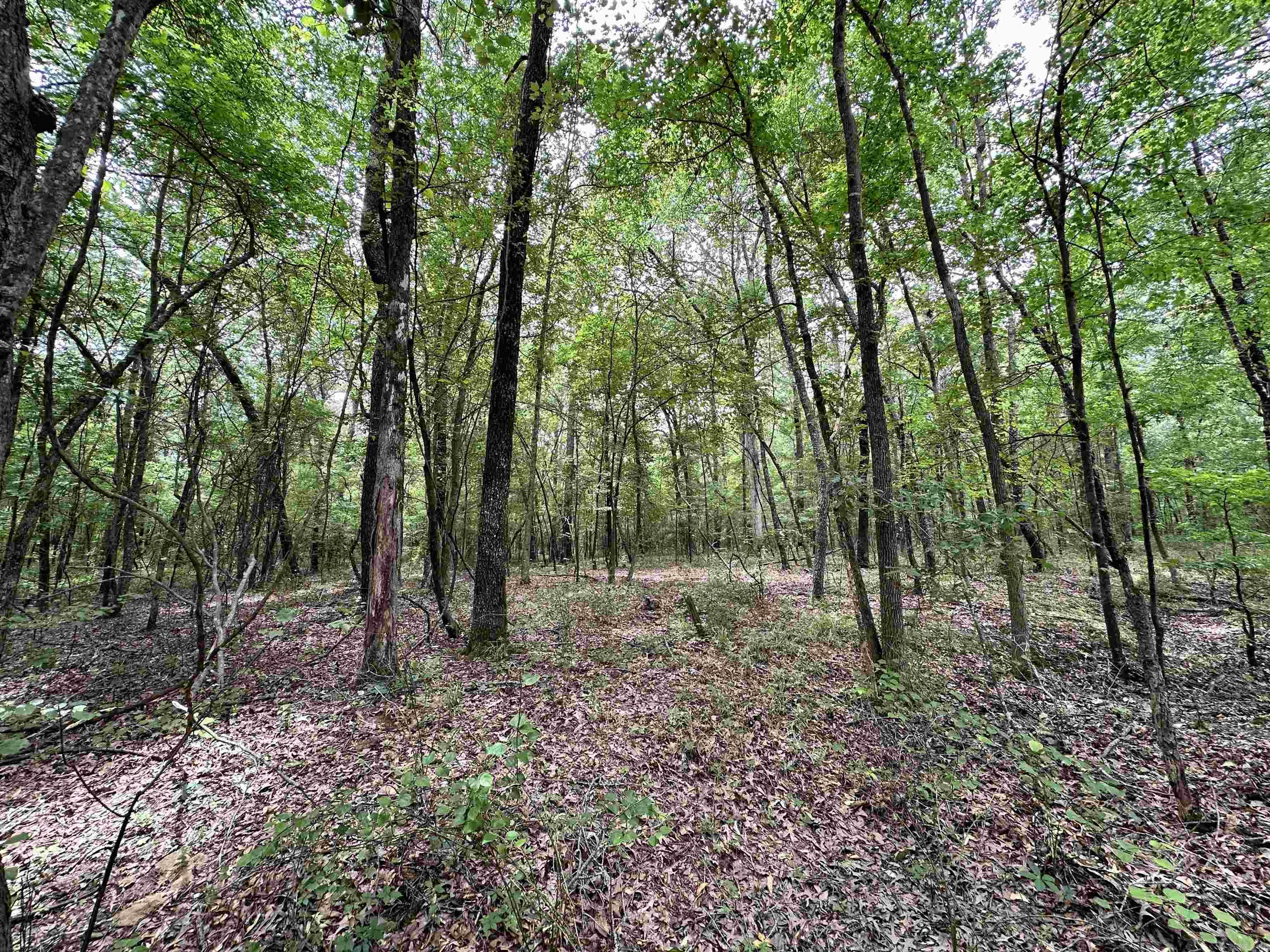 000  Oakdale  Lonoke, AR
