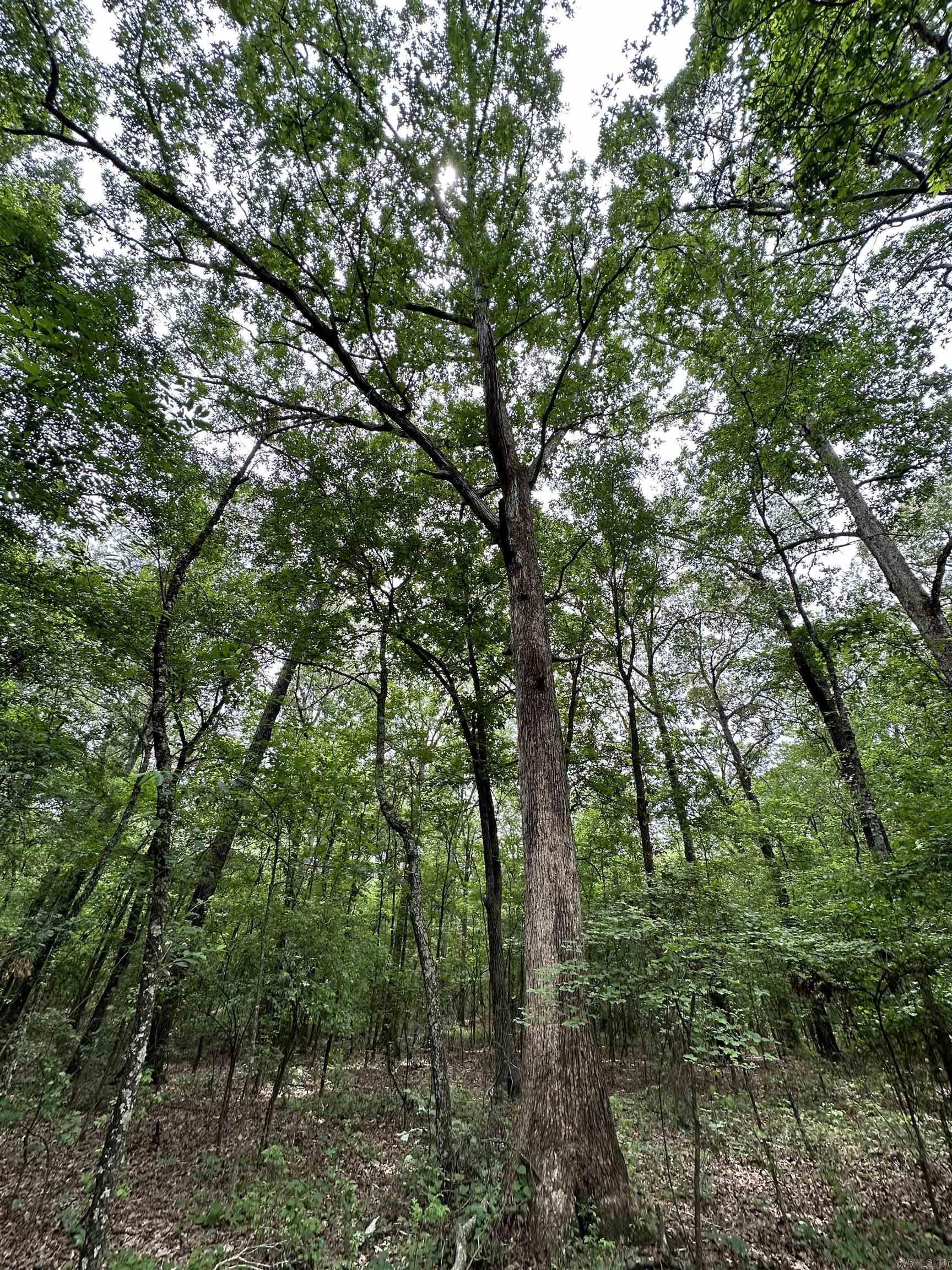 000  Oakdale  Lonoke, AR