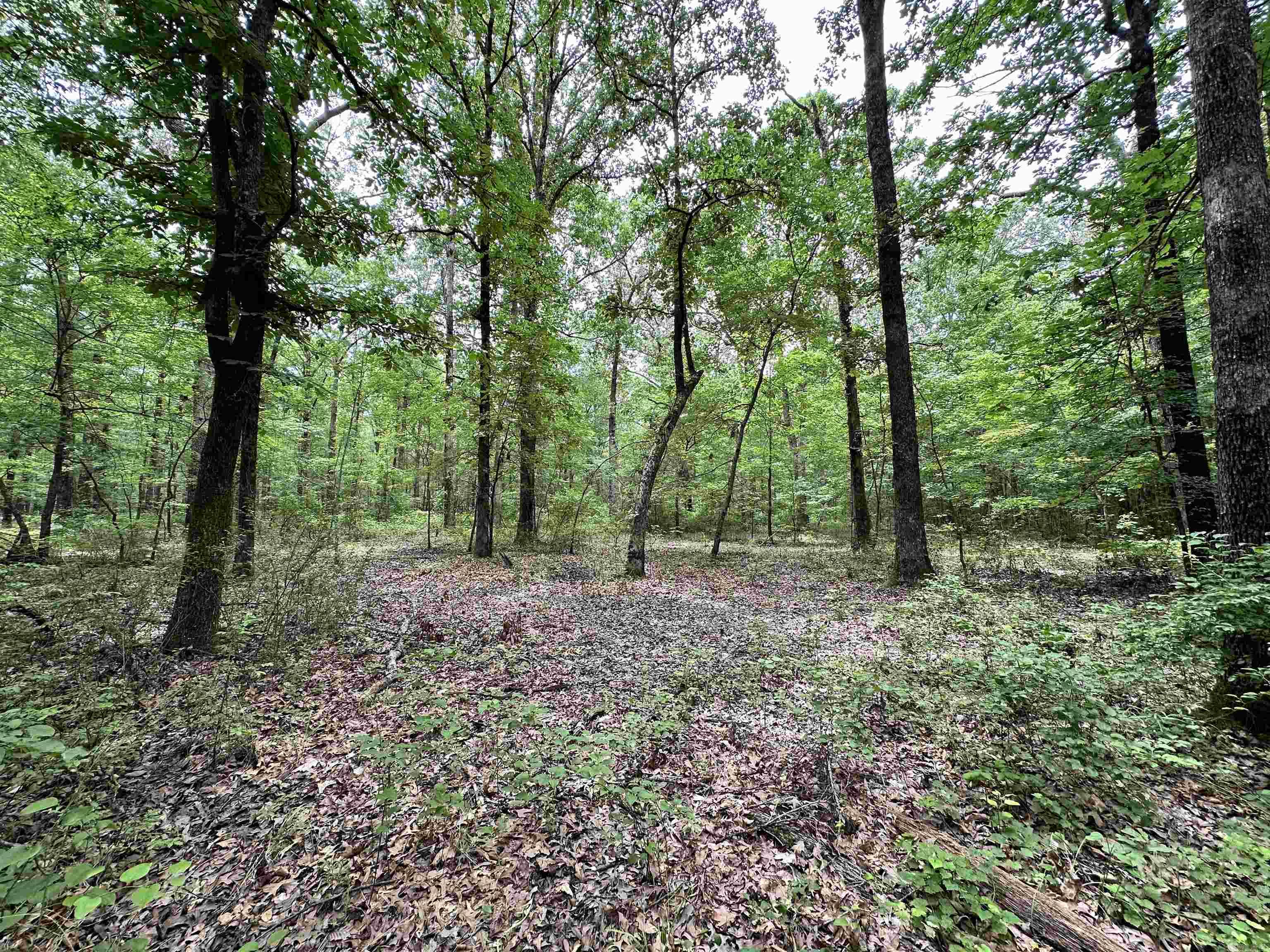 000  Oakdale  Lonoke, AR