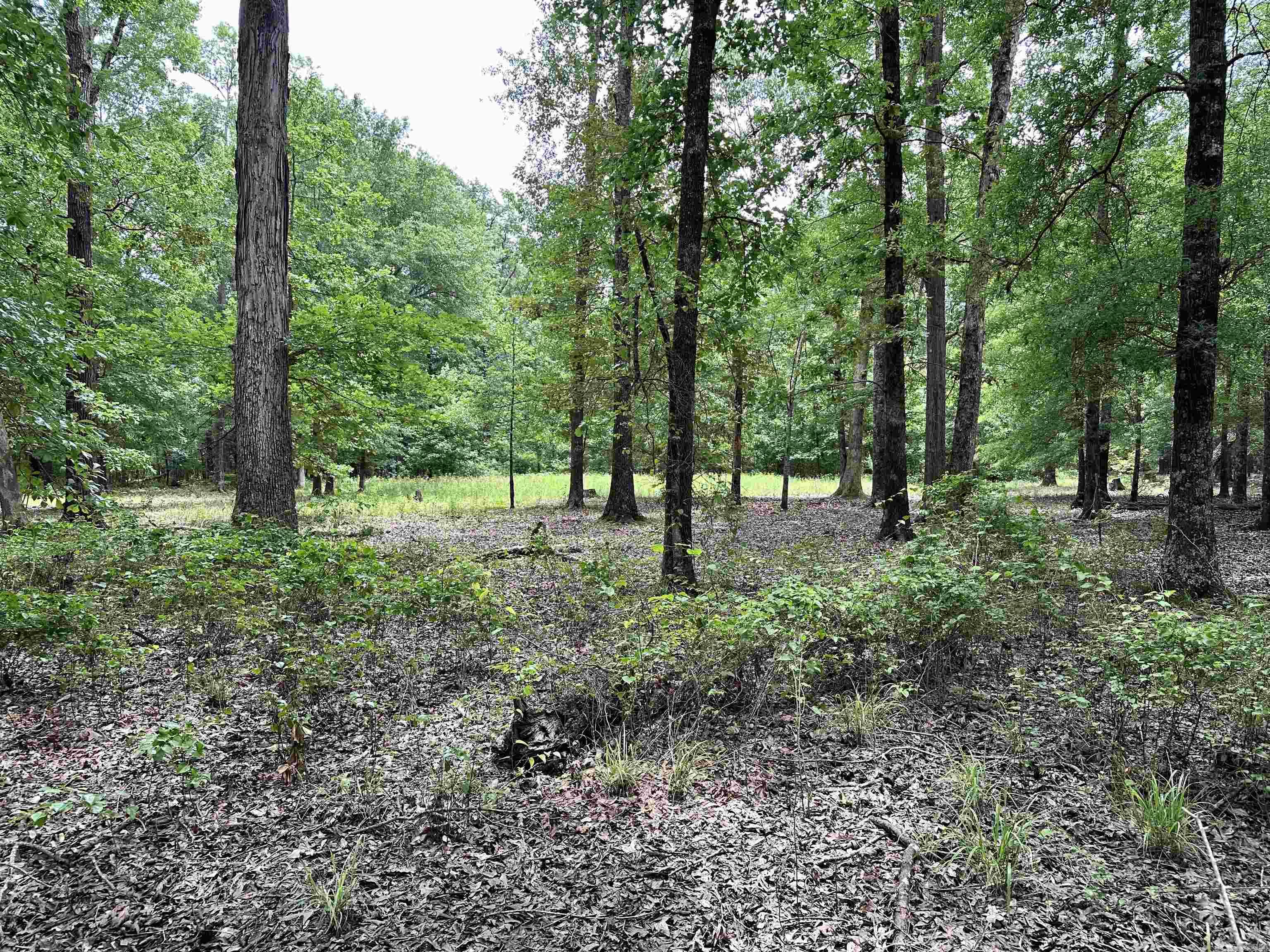 000 Oakdale  Lonoke, AR