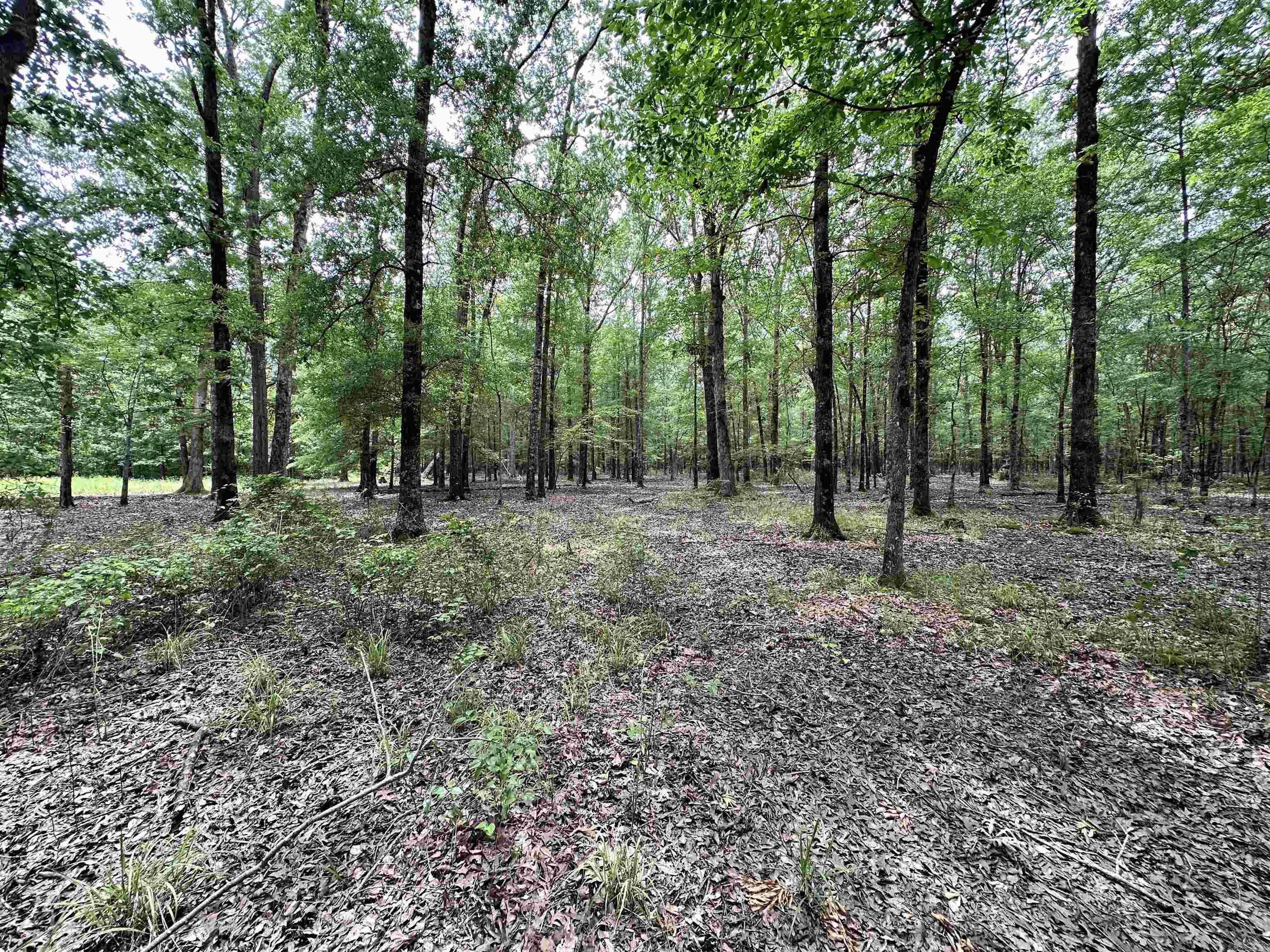 000  Oakdale  Lonoke, AR