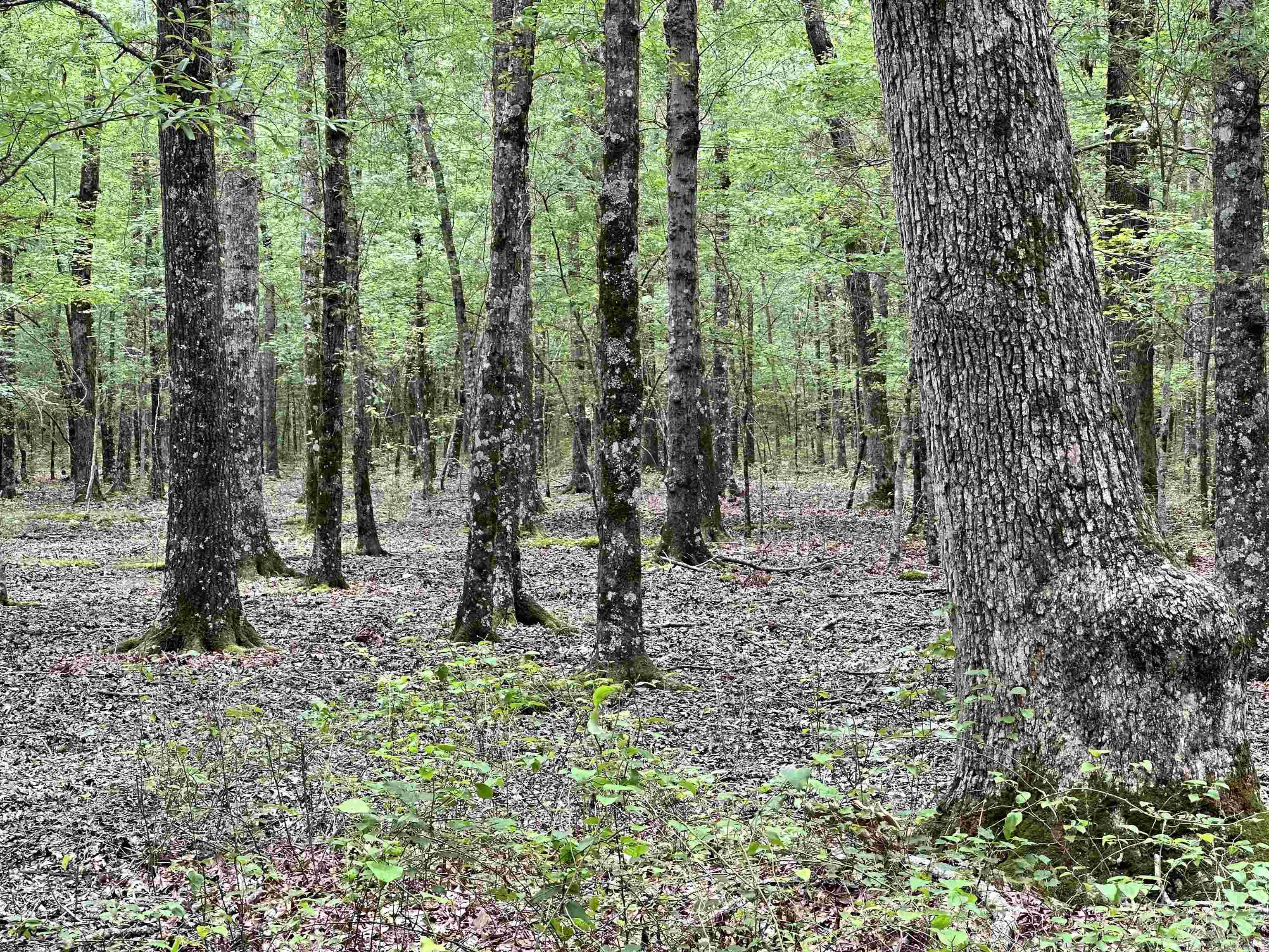 000 Oakdale  Lonoke, AR