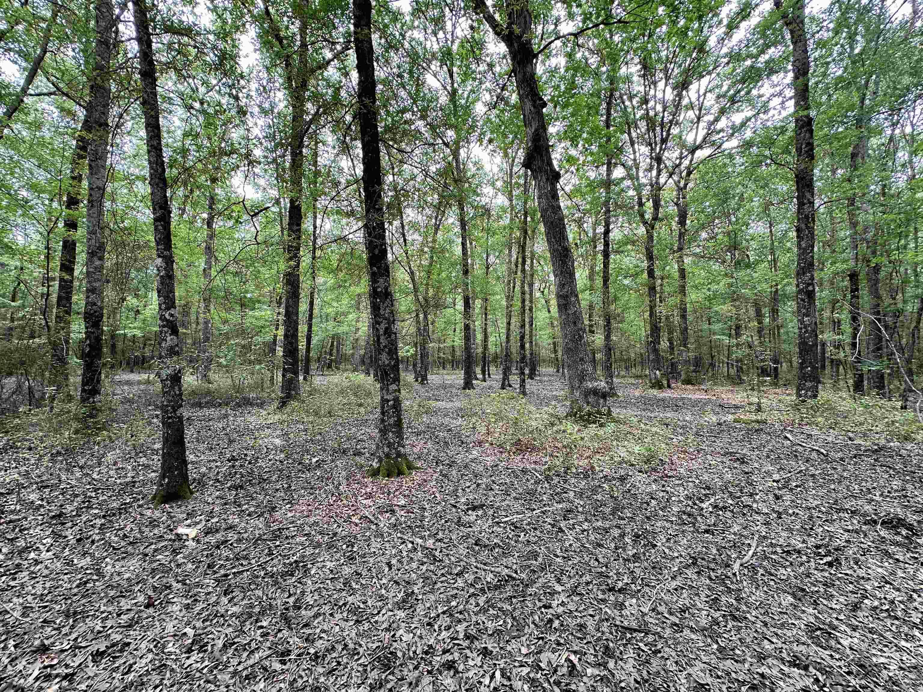 000  Oakdale  Lonoke, AR