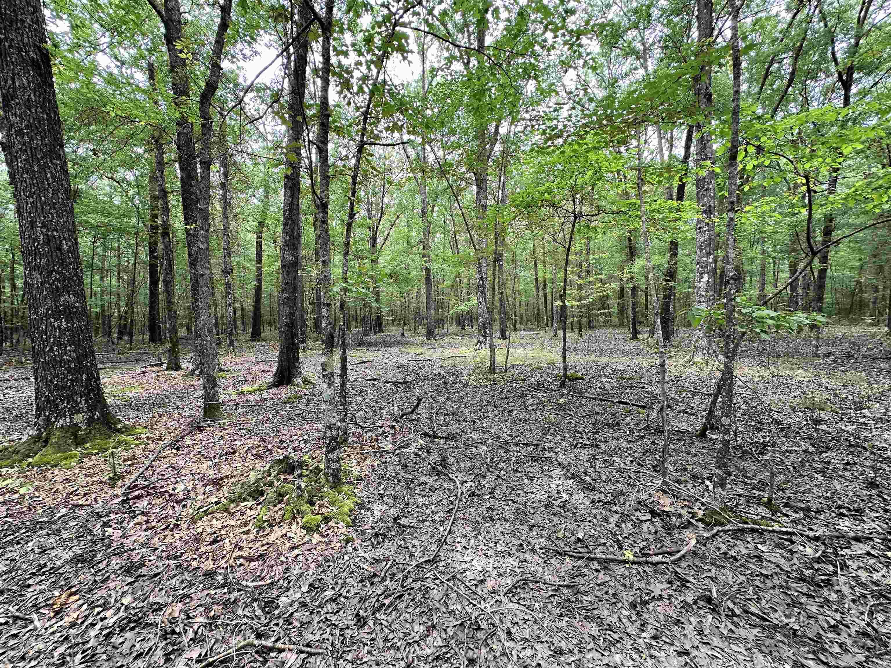 000  Oakdale  Lonoke, AR