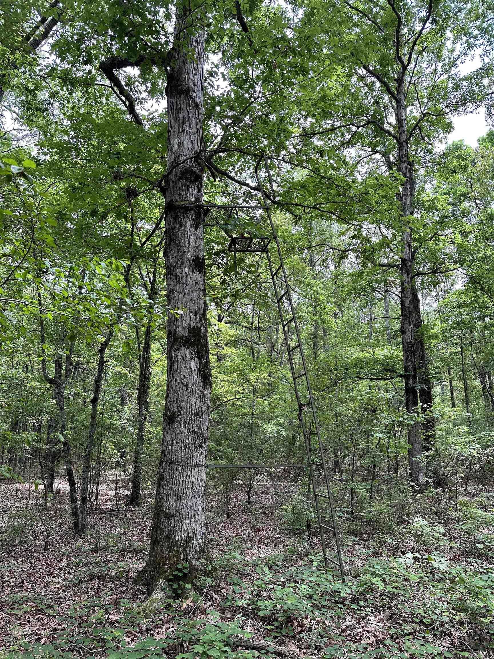 000  Oakdale  Lonoke, AR
