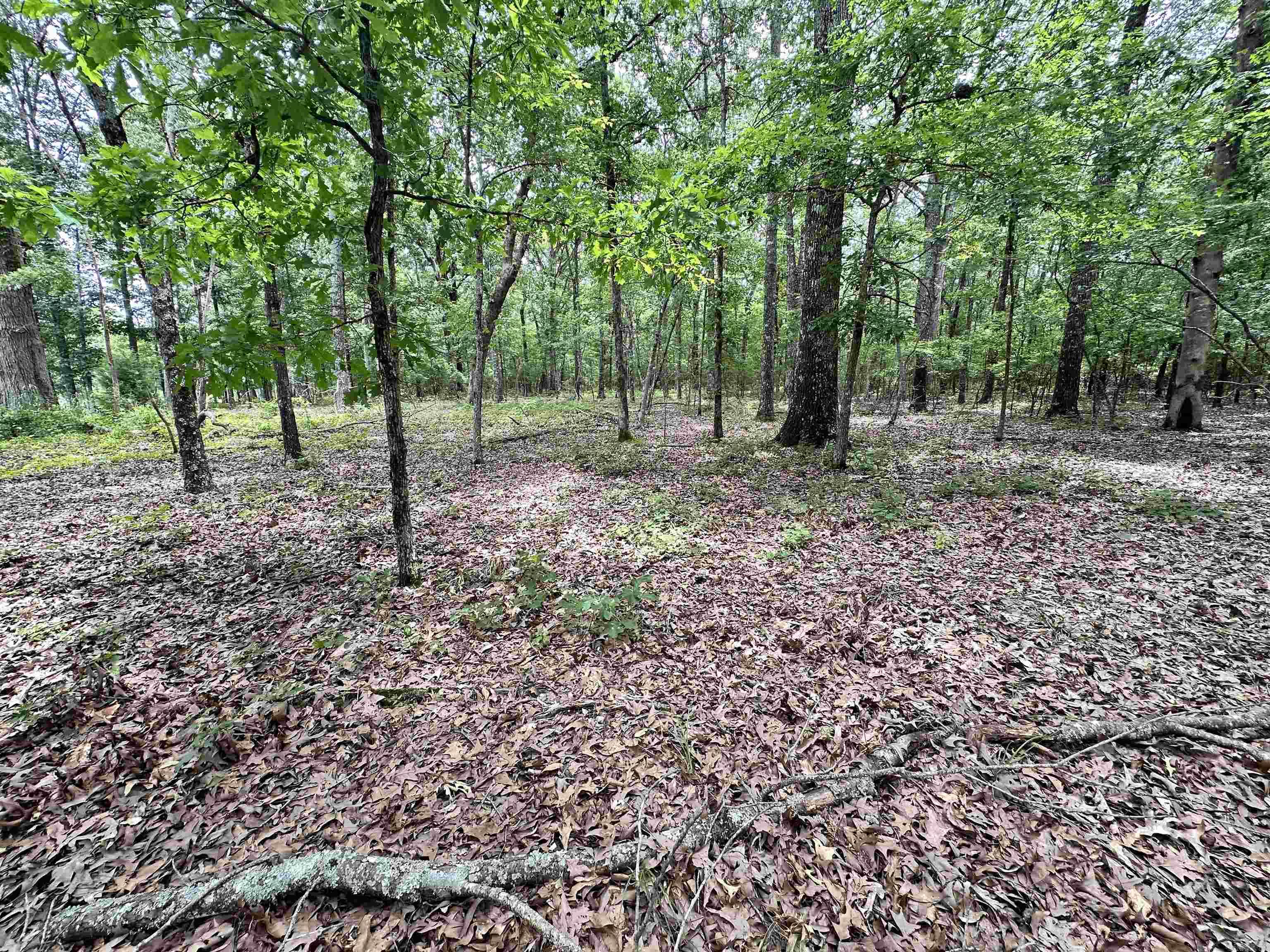 000 Oakdale  Lonoke, AR