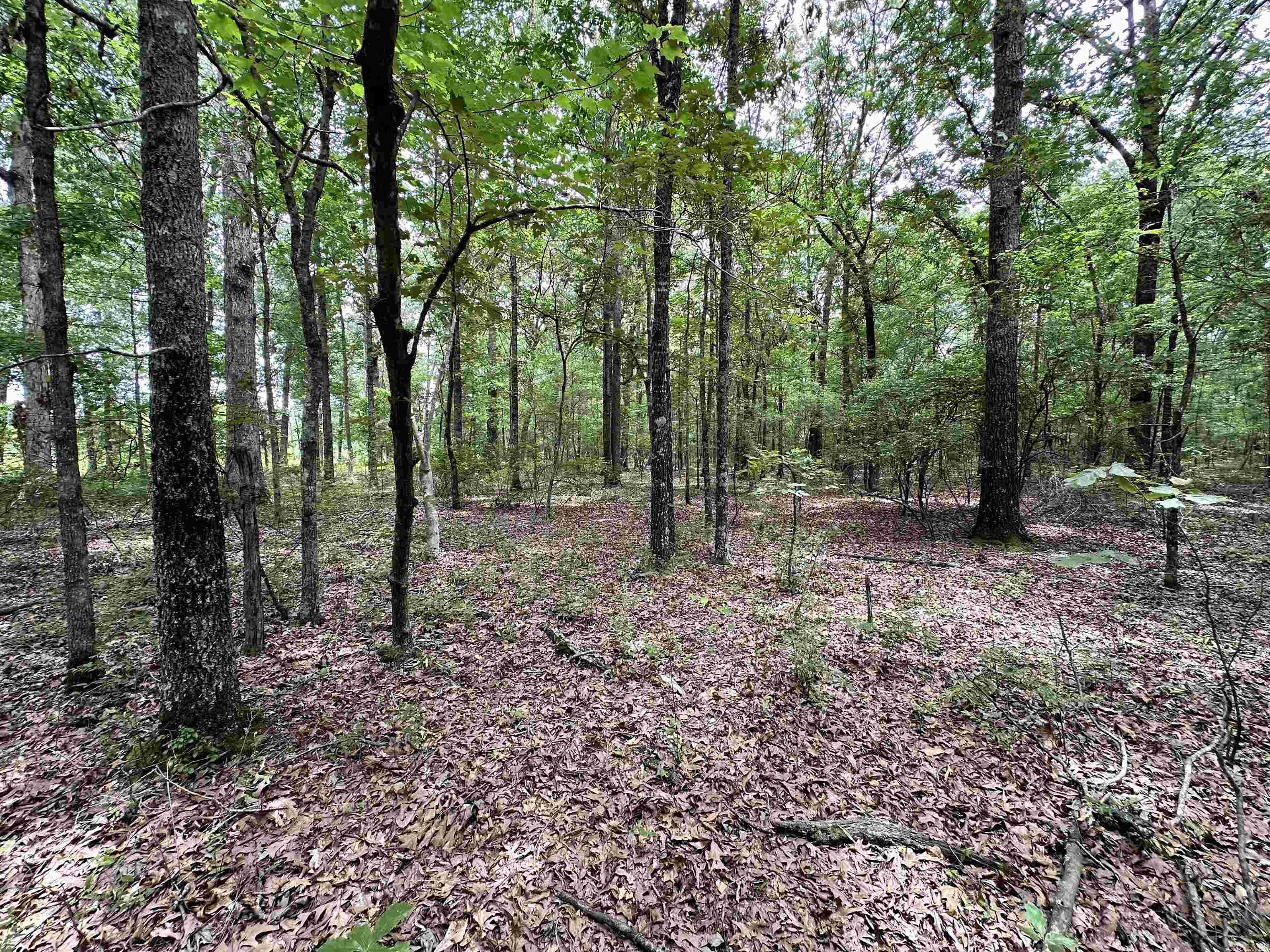 000  Oakdale  Lonoke, AR