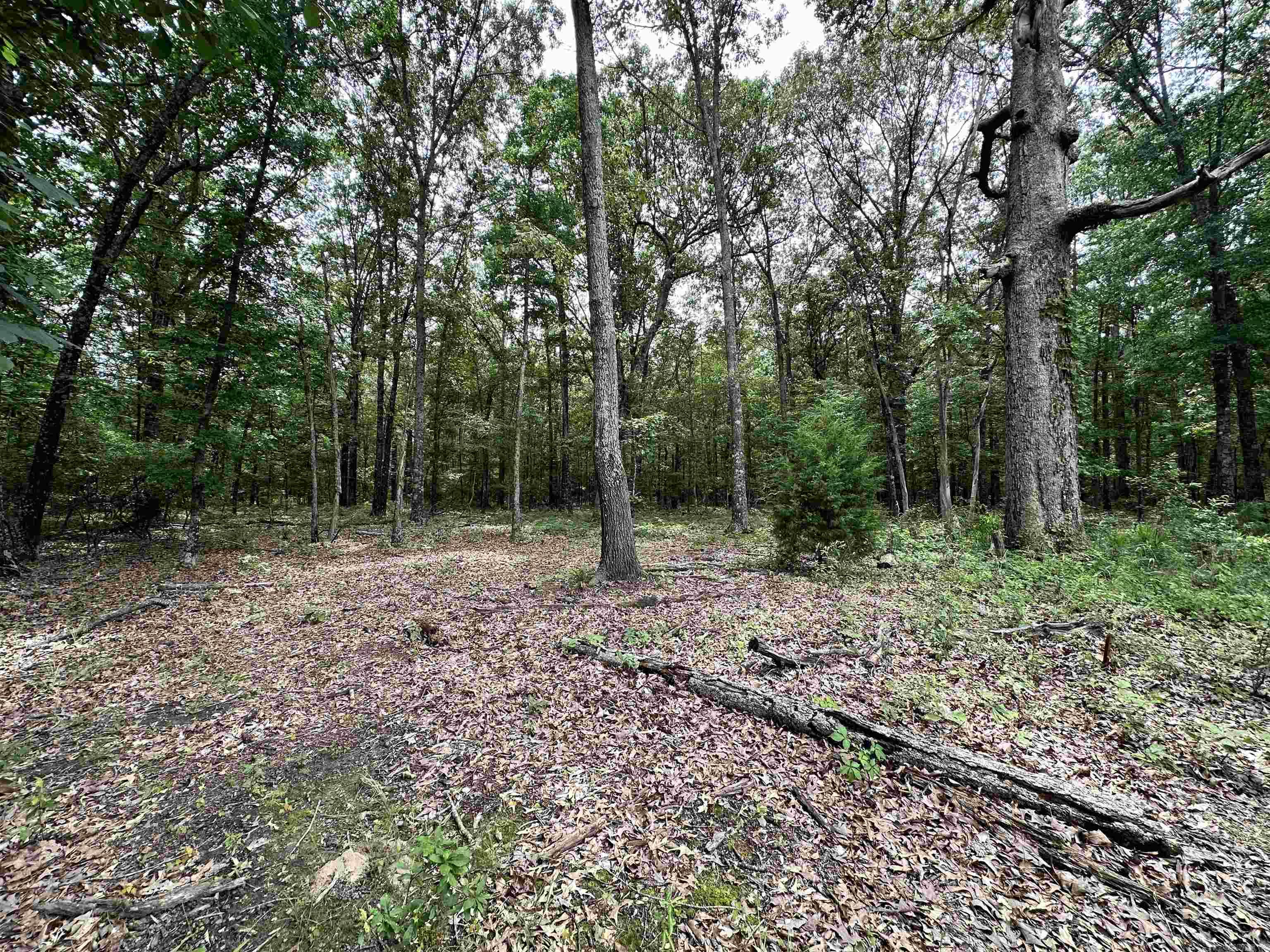 000  Oakdale  Lonoke, AR