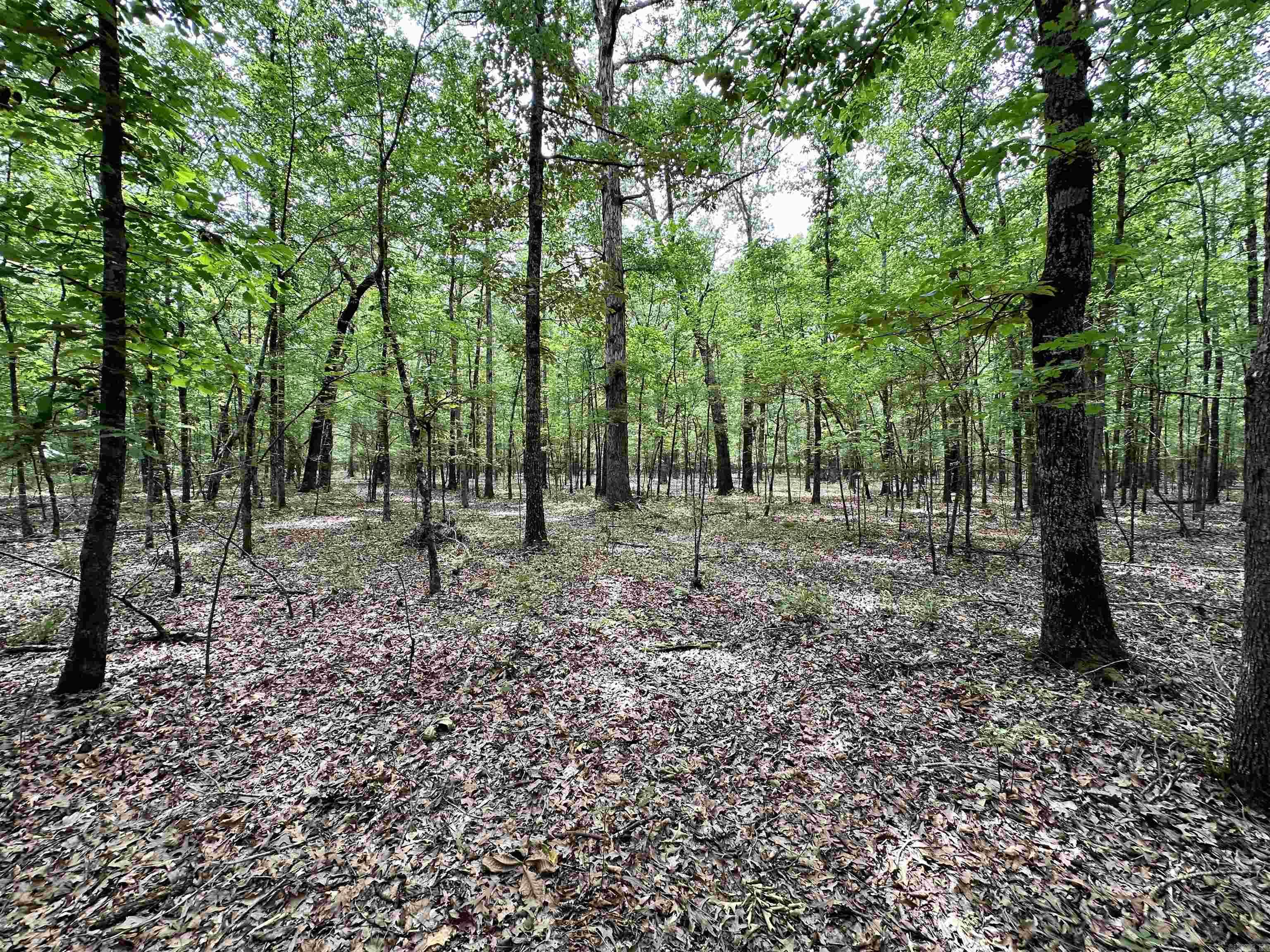 000 Oakdale  Lonoke, AR