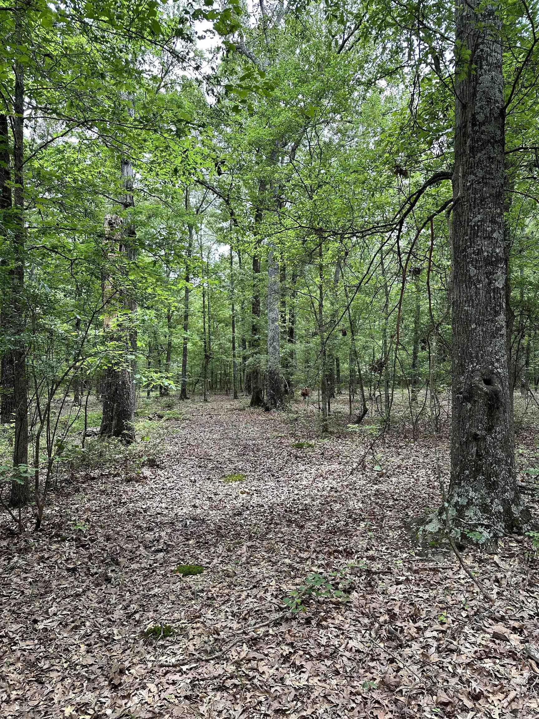 000  Oakdale  Lonoke, AR