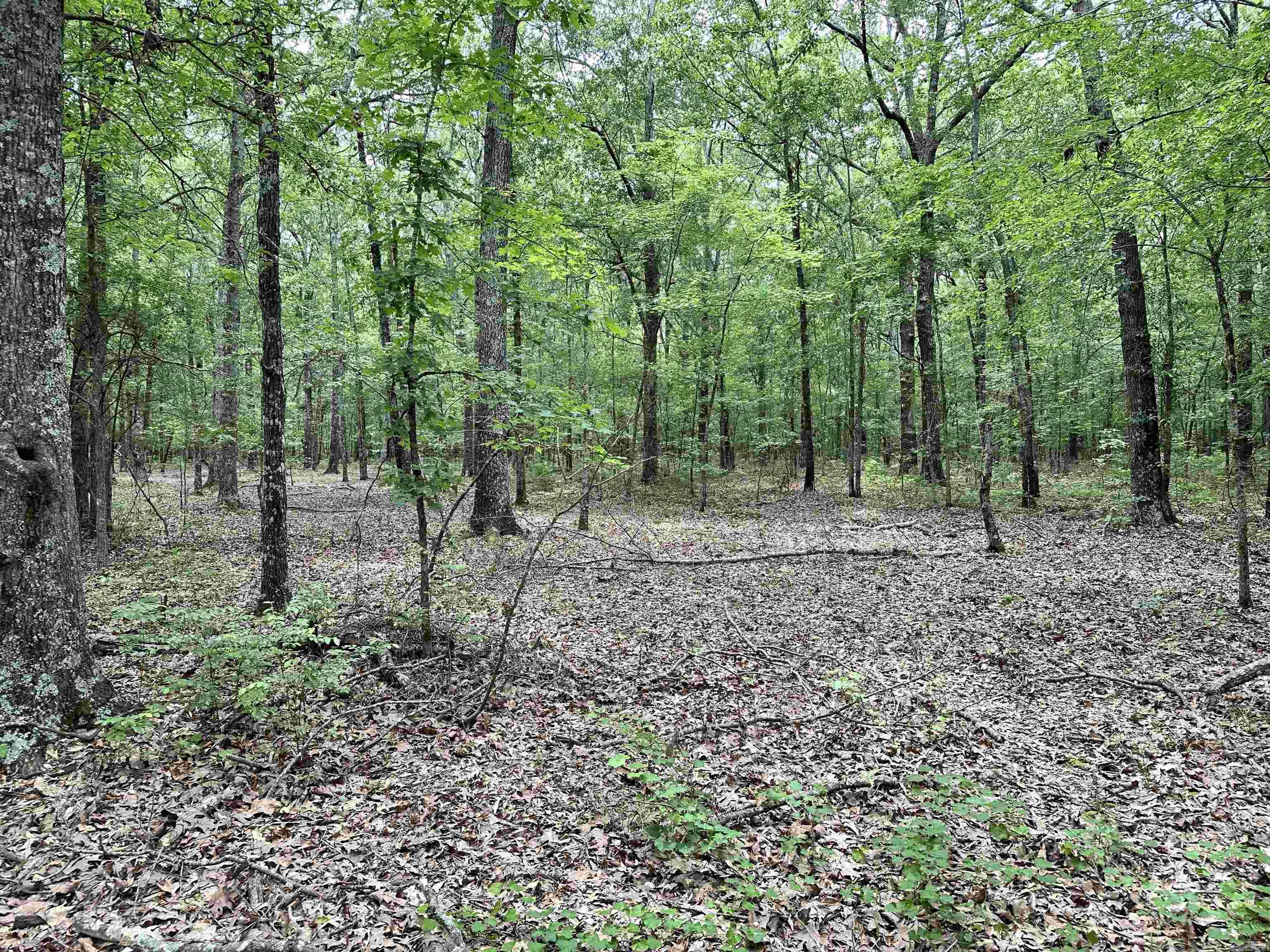 000  Oakdale  Lonoke, AR