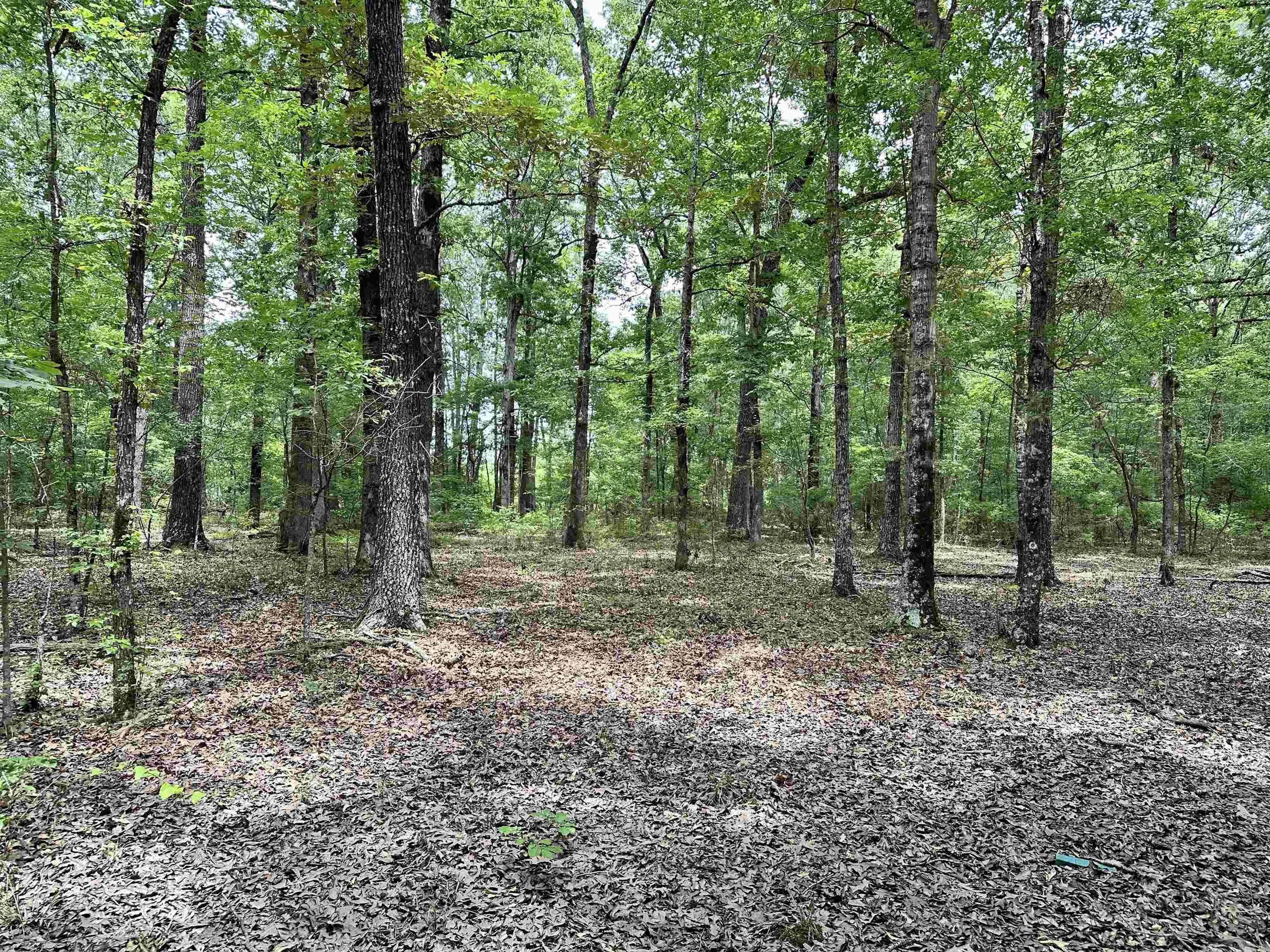 000  Oakdale  Lonoke, AR