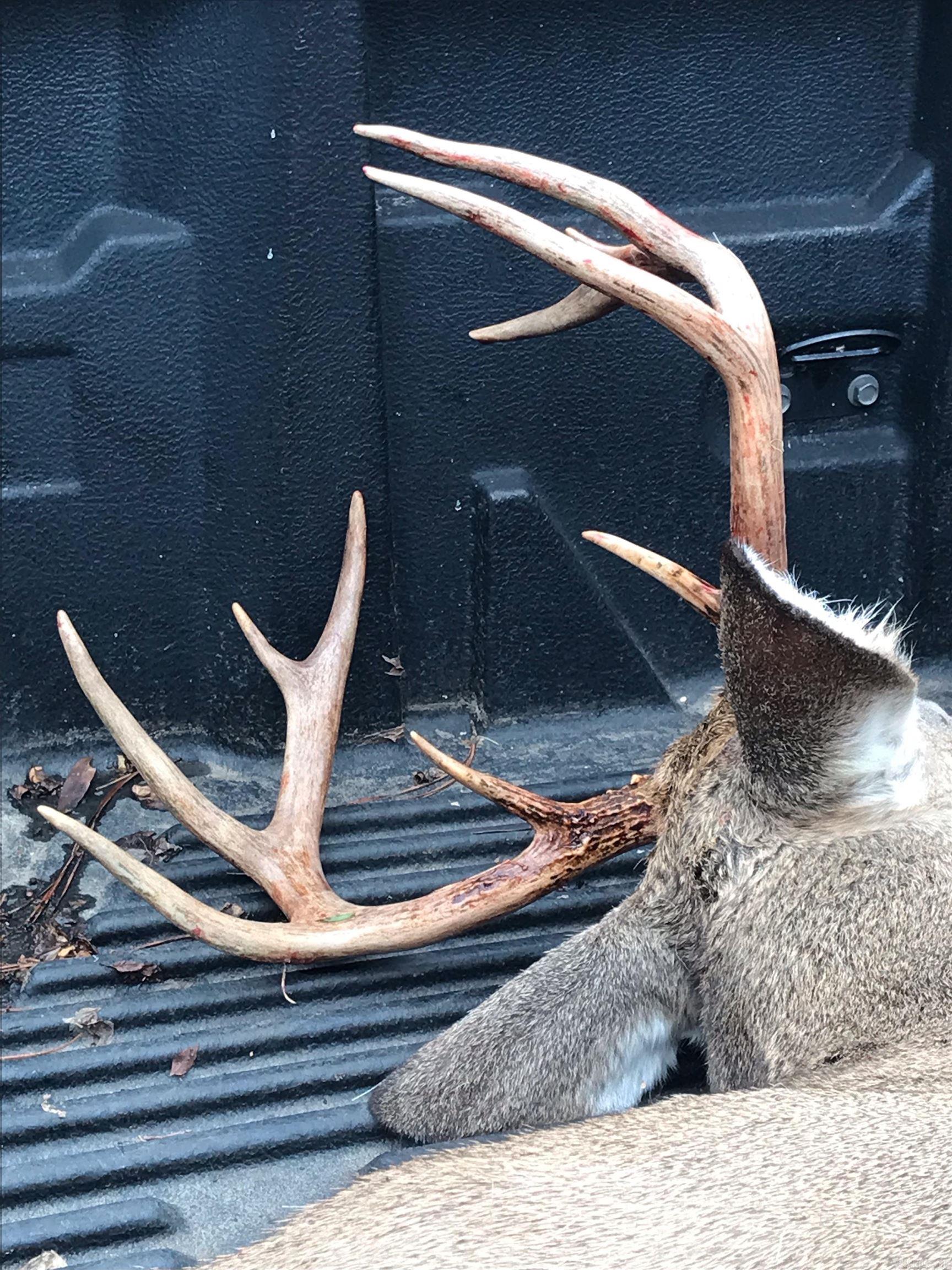 000 Oakdale  Lonoke, AR