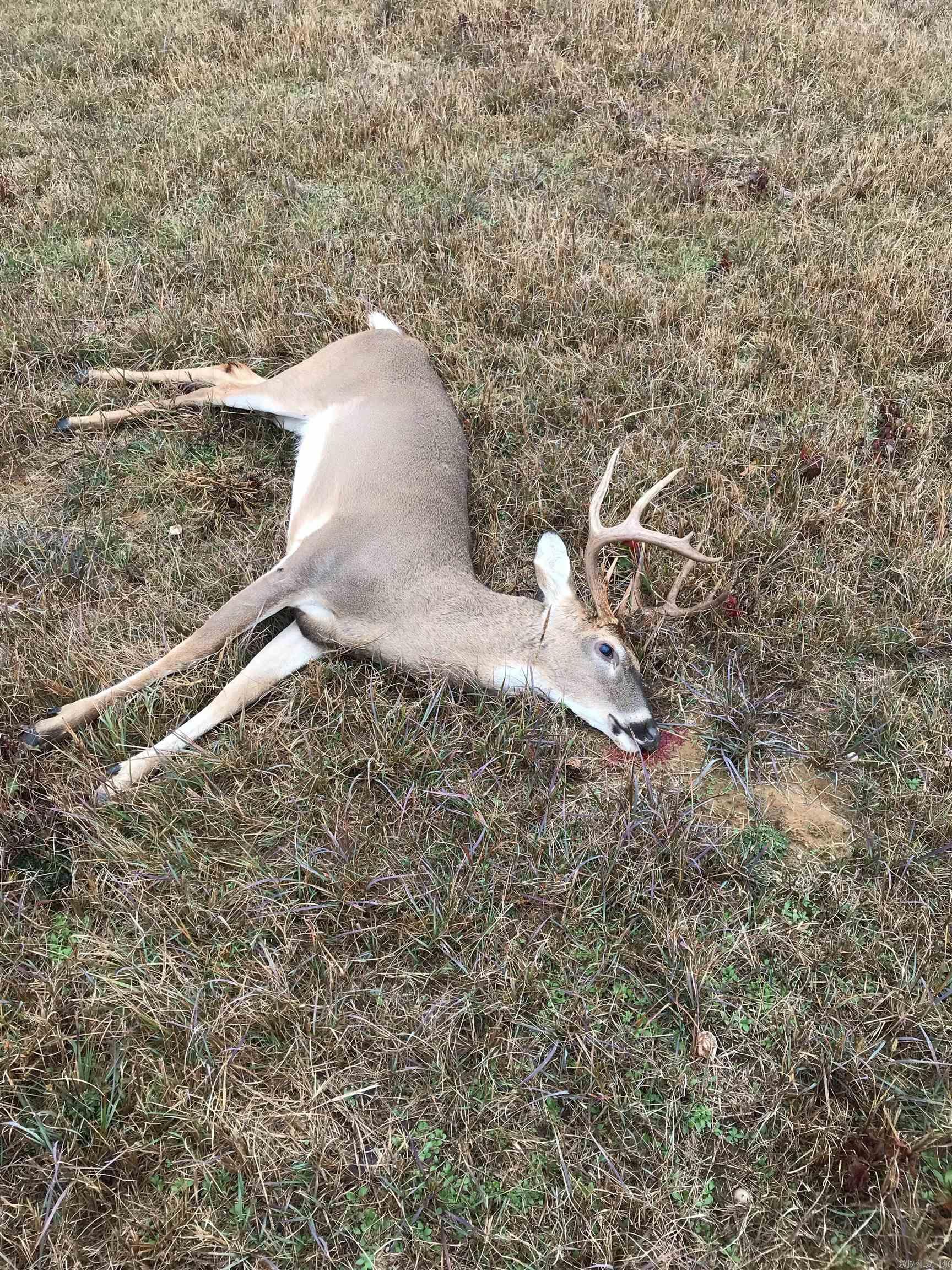 000  Oakdale  Lonoke, AR